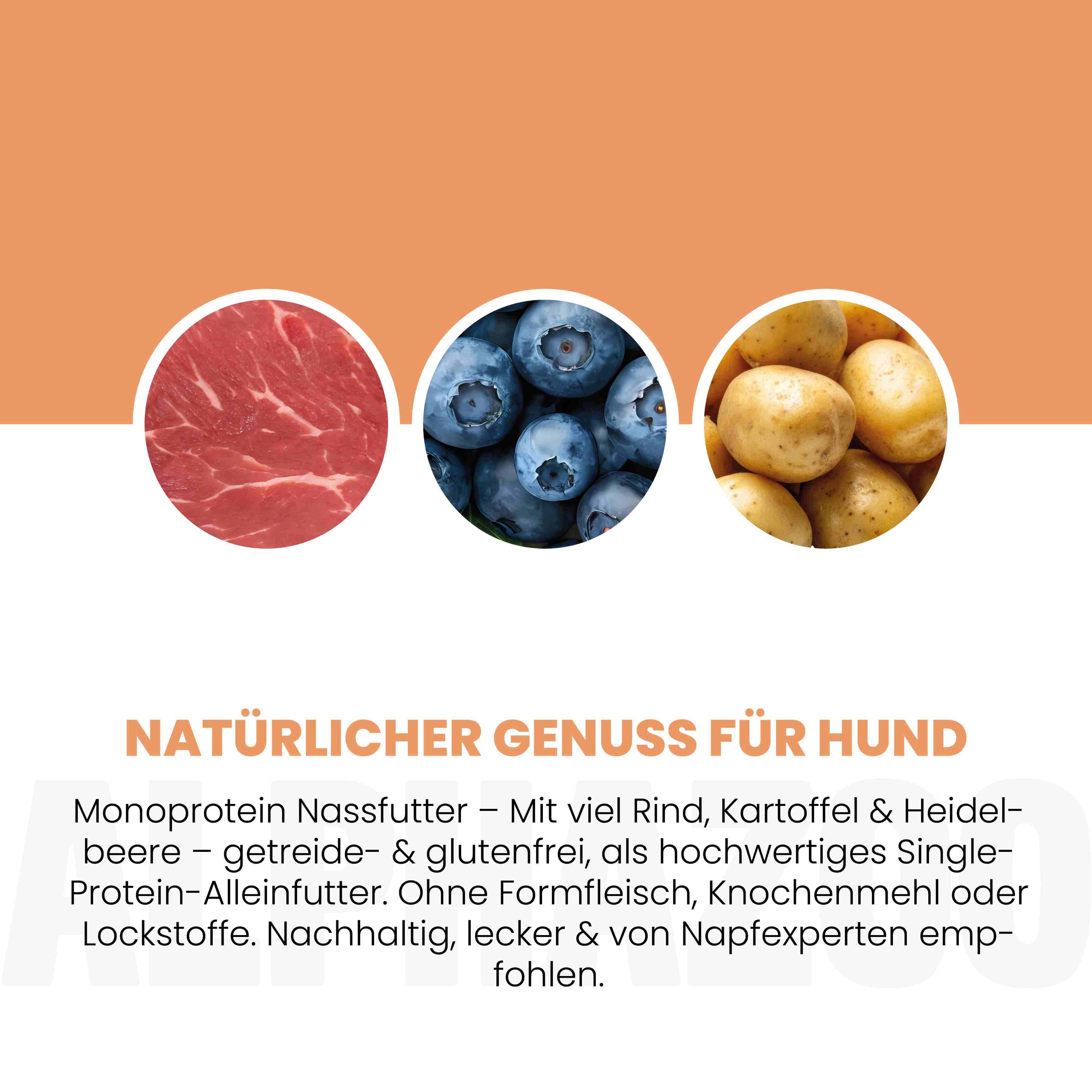 Monoprotein Rind Nassfutter für Hunde – 60% Fleisch, mit Heidelbeere, Hagebutte & Hanföl