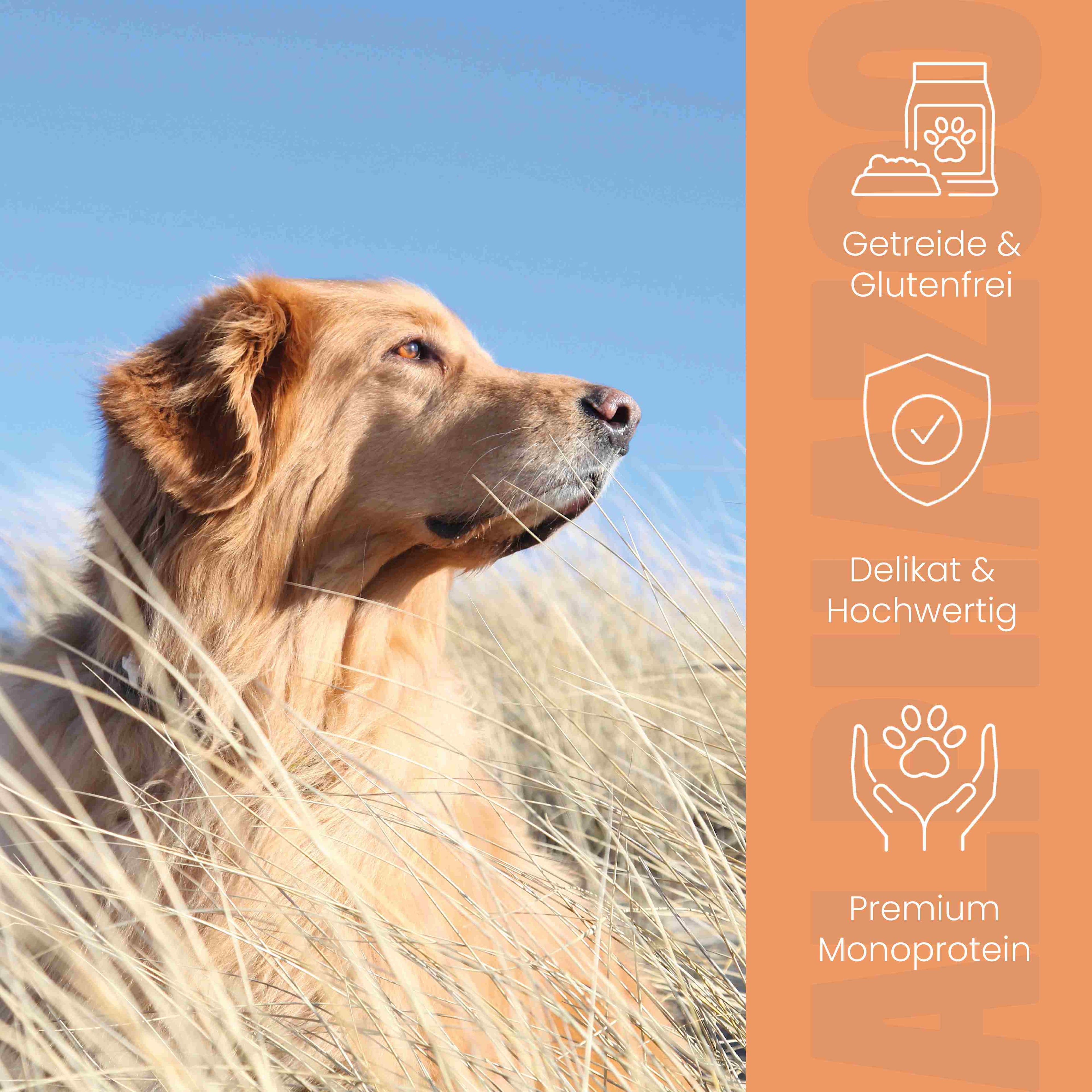 Monoprotein Rind Nassfutter für Hunde – 60% Fleisch, mit Heidelbeere, Hagebutte & Hanföl