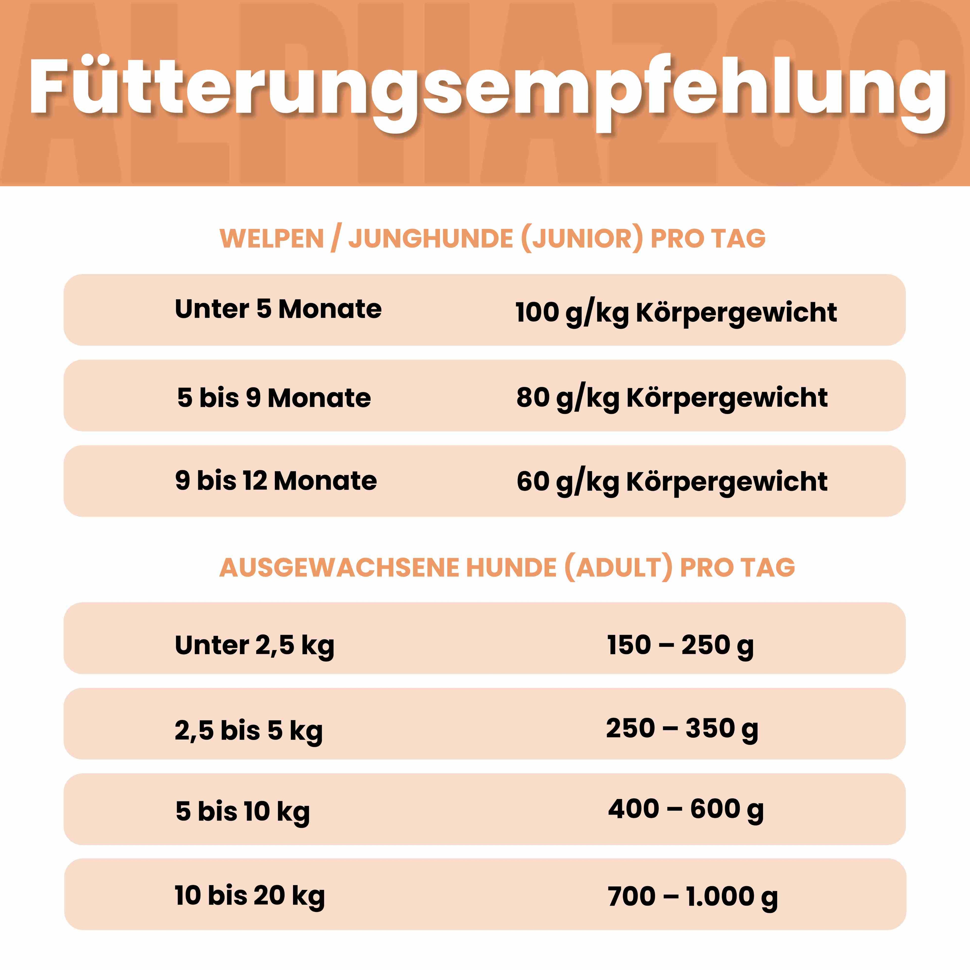 Monoprotein Rind Nassfutter für Hunde – 60% Fleisch, mit Heidelbeere, Hagebutte & Hanföl