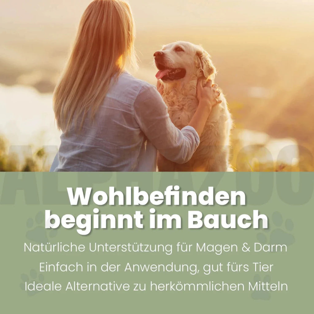 Darmonie Liquid für Hunde – Leinöl mit Wermut, Thymian & Aloe Vera
