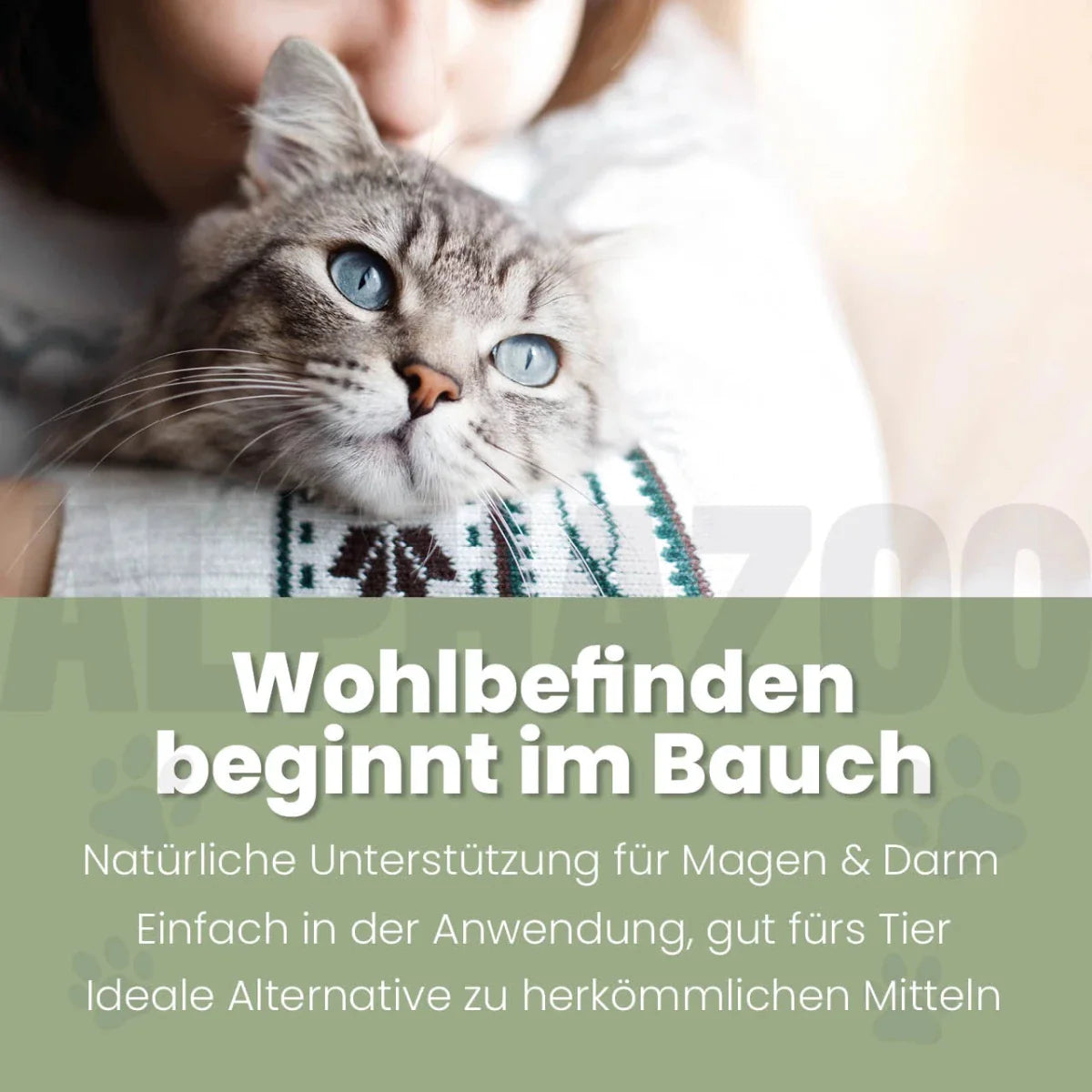 alphazoo Darmonie Liquid für Katzen – Ergänzungsfutter bei Verdauungsproblemen, 100 ml