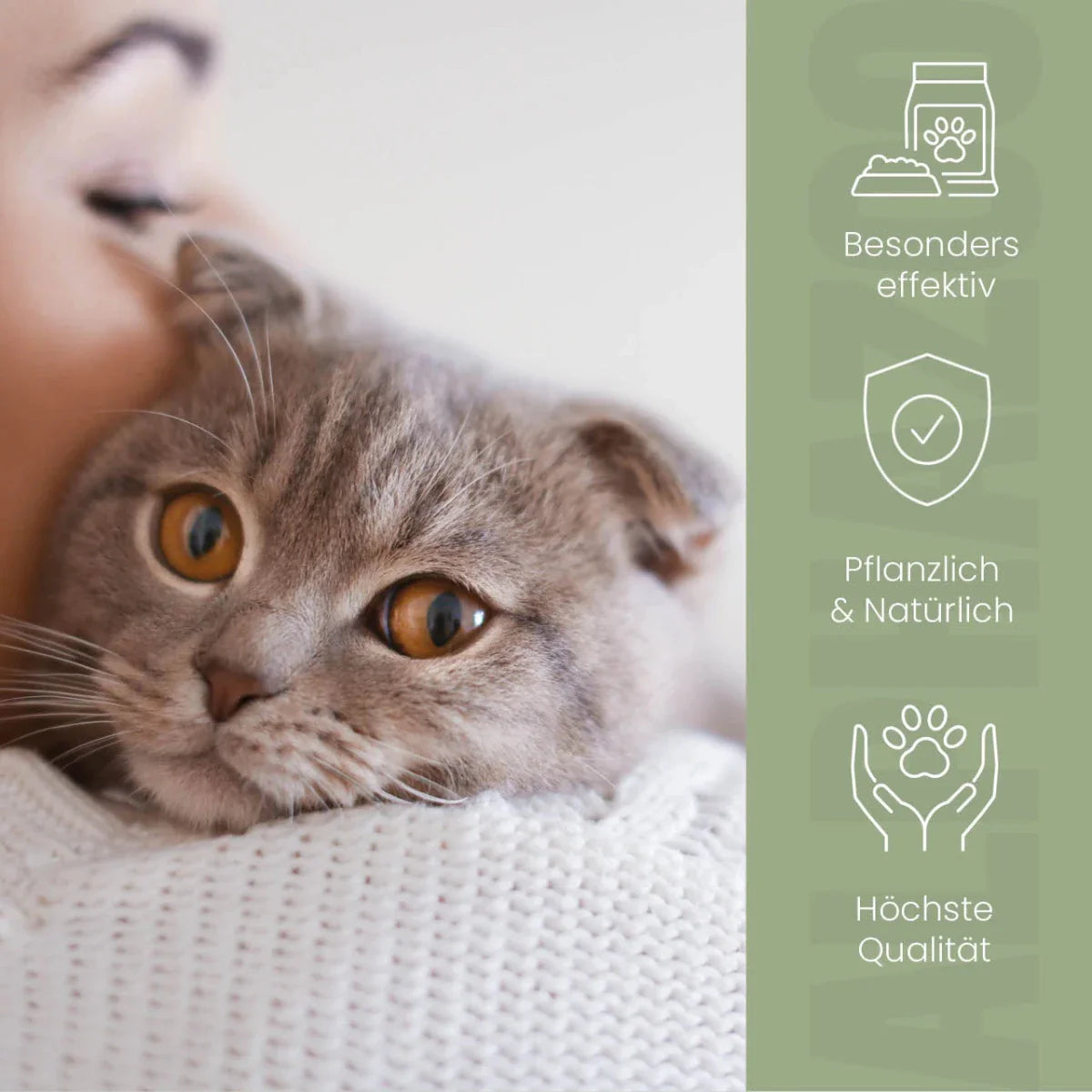 alphazoo Darmonie Liquid für Katzen – Ergänzungsfutter bei Verdauungsproblemen, 100 ml