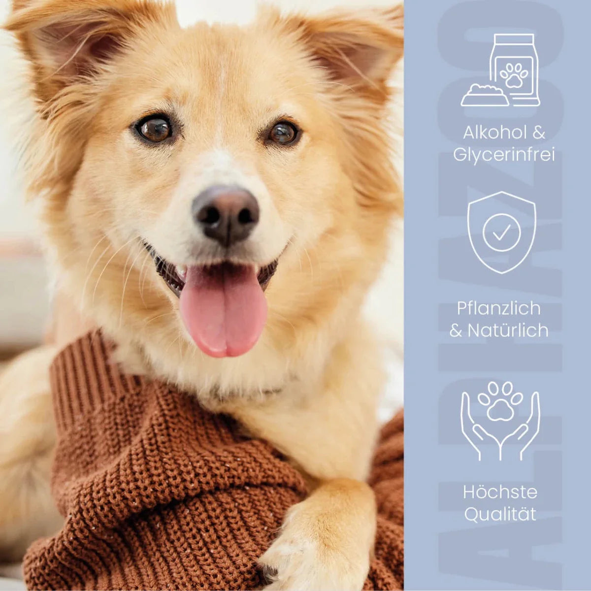 Durchblick Augenpflege für Hunde – mit Aloe Vera, Kamille & Calendula