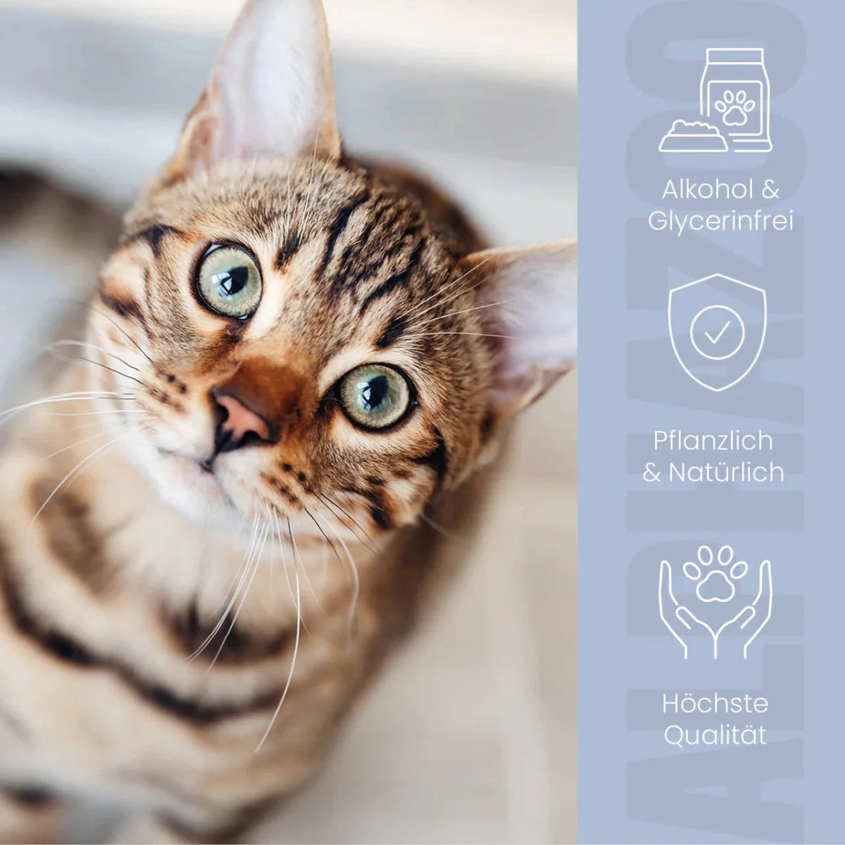 Durchblick Augenpflege für Katzen – mit Kamille, Aloe Vera & Calendula