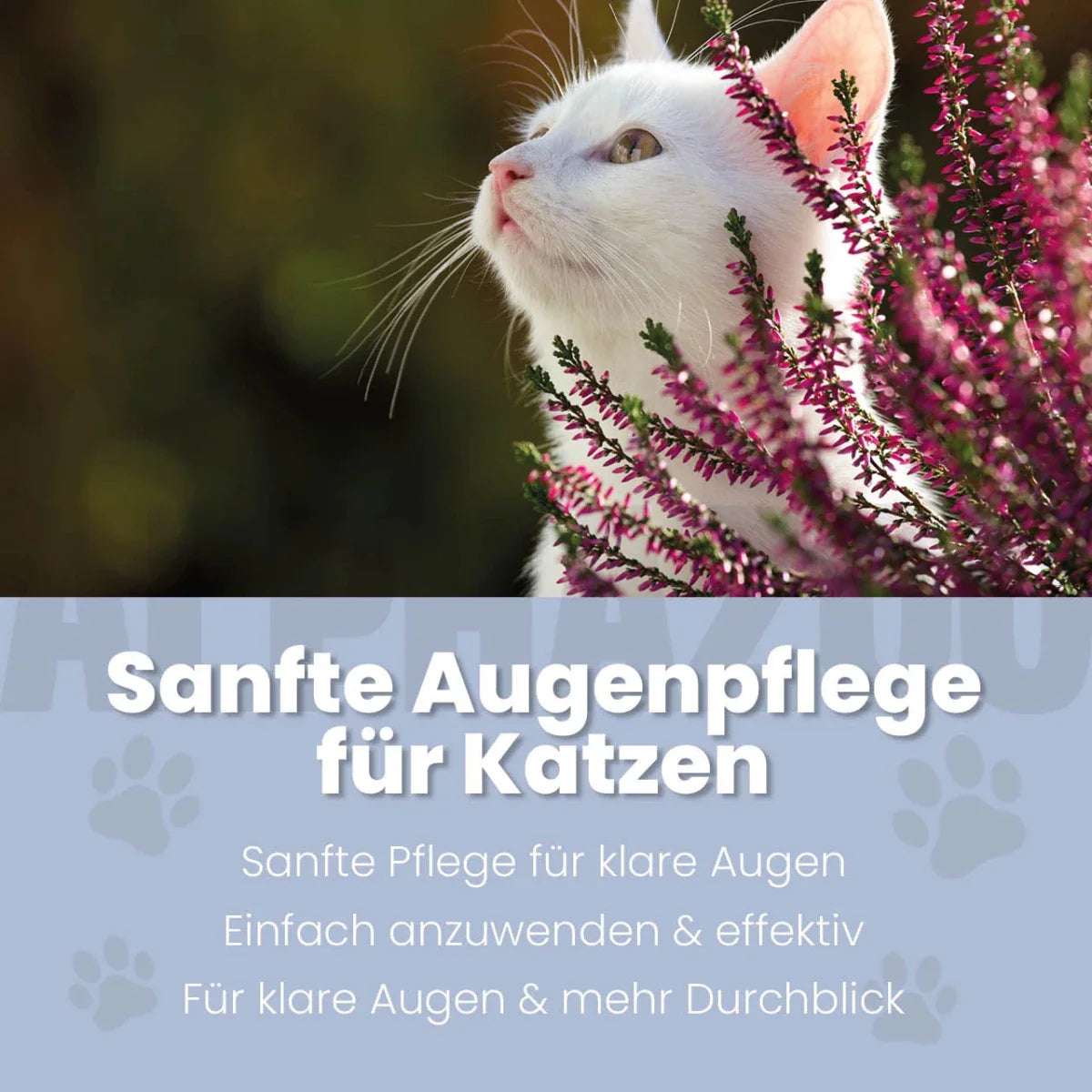 Durchblick Augenpflege für Katzen – mit Kamille, Aloe Vera & Calendula