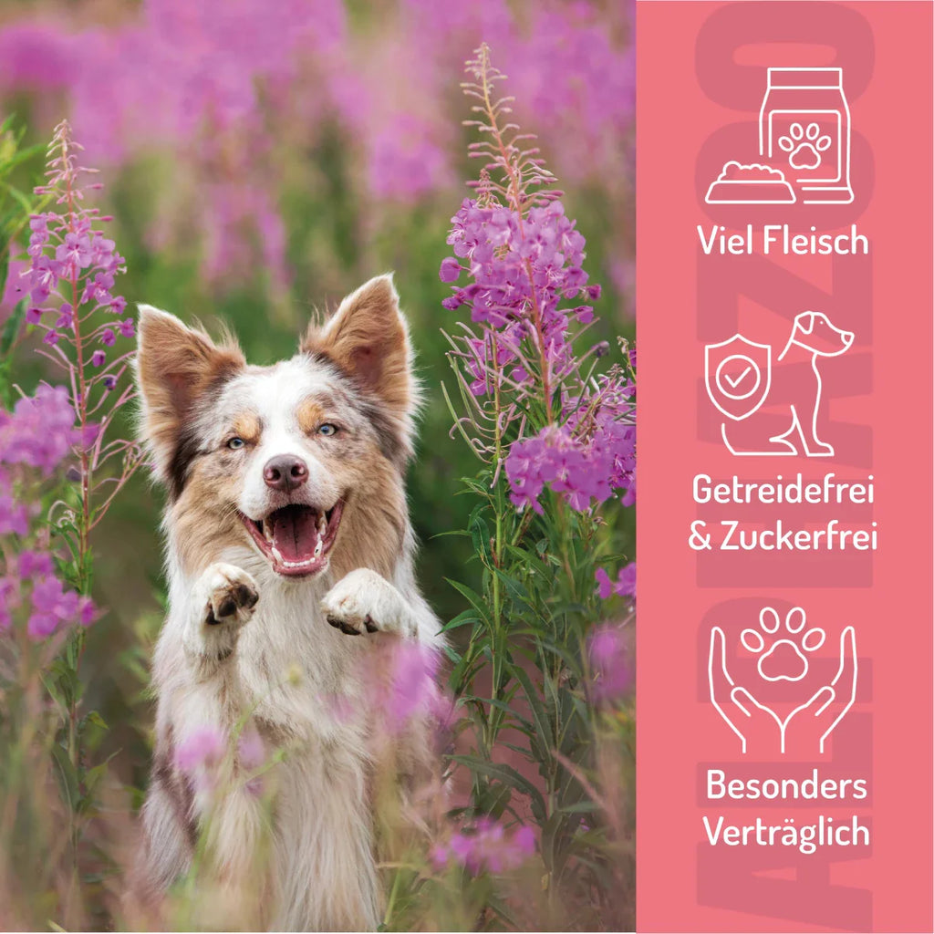 Ente Ohne Süß & Sauer – Softsnack für Hunde, 96% Ente, getreidefrei