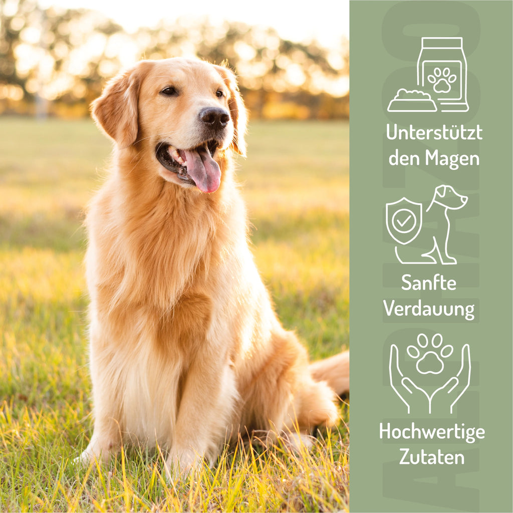 Fauchi Bauchi – Herzförmige Hundeleckerlis mit Präbiotikum, Erdnussbutter & Lachsöl