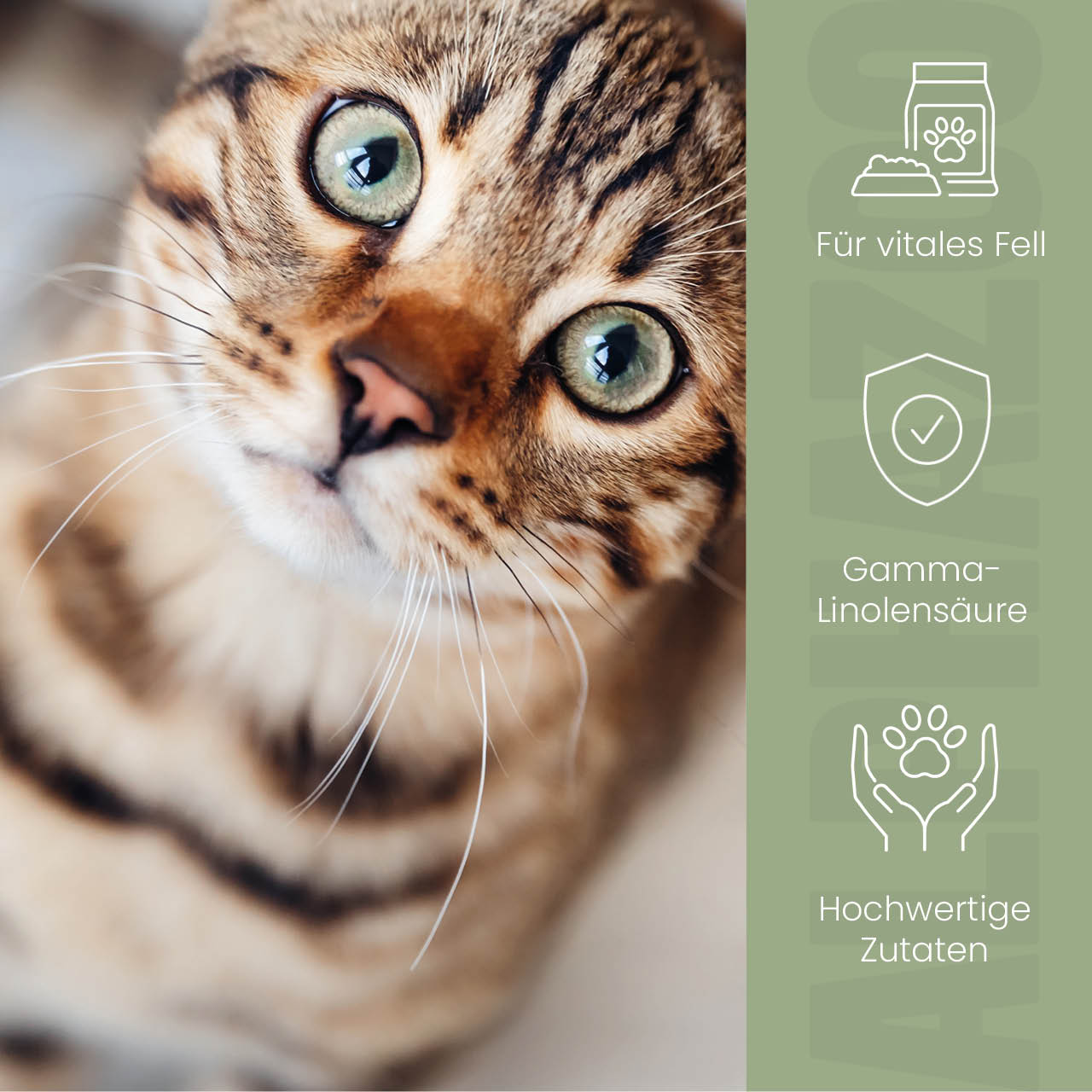 Fellliebe Futteröl für Katzen – Lachs, Mandel & Argan kaltgepresst