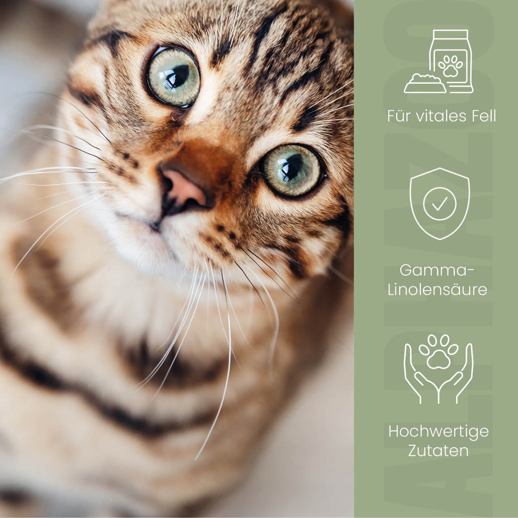 Fellliebe Futteröl für Katzen – Lachs, Mandel & Argan kaltgepresst