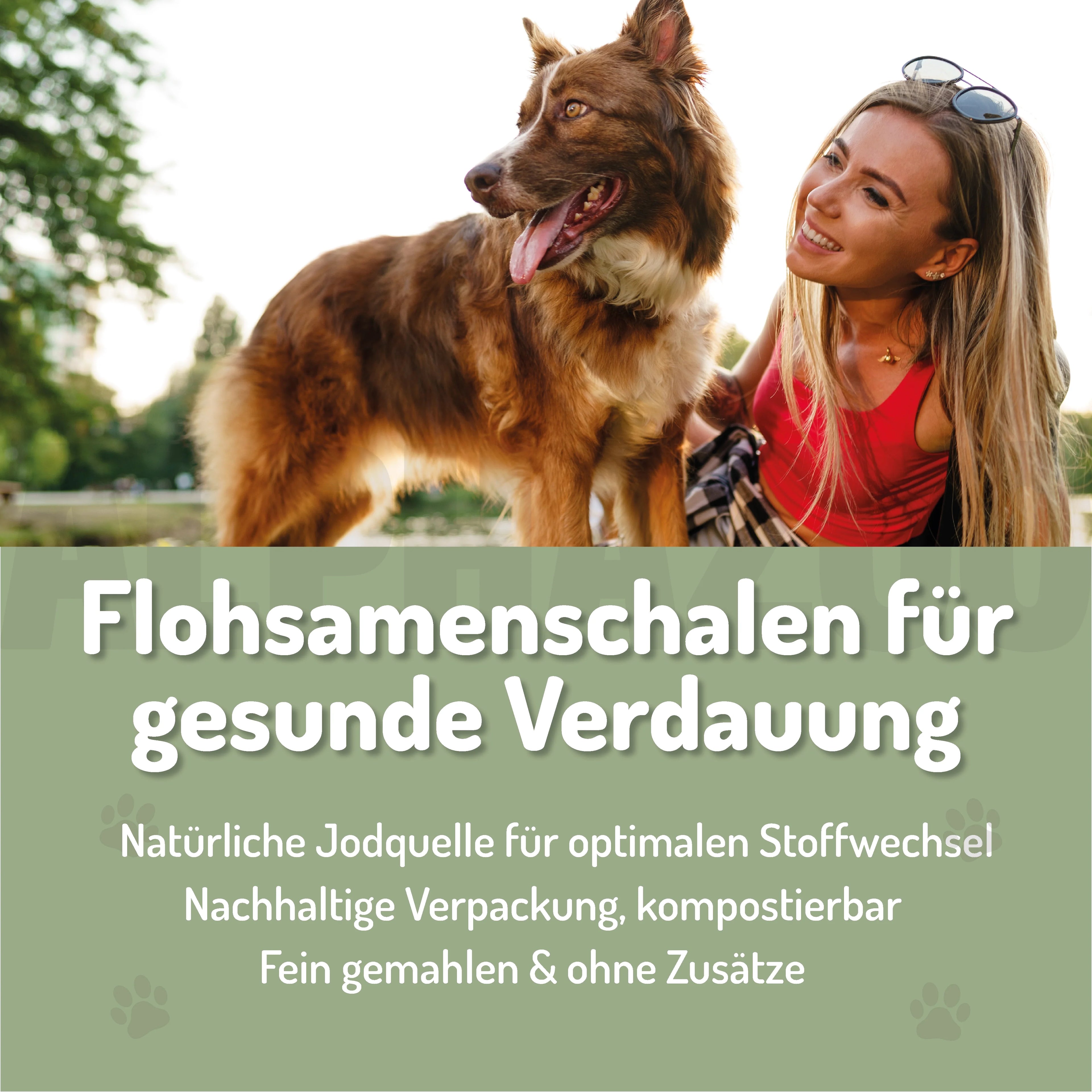 Flohsamenschalen gemahlen für Hunde & Katzen – 99% rein, glutenfrei