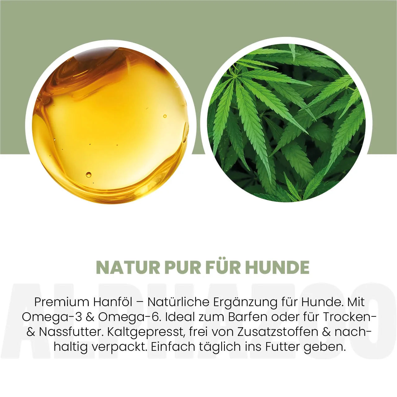 Hanföl für Hunde – kaltgepresst, optimales Omega-3/6-Verhältnis, 100ml & 250ml