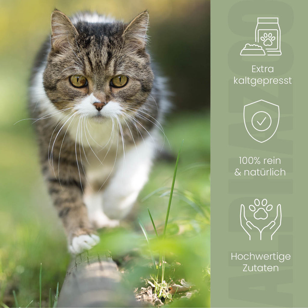 Hanföl für Katzen – kaltgepresst, THC-frei, optimales Omega-3/6-Verhältnis
