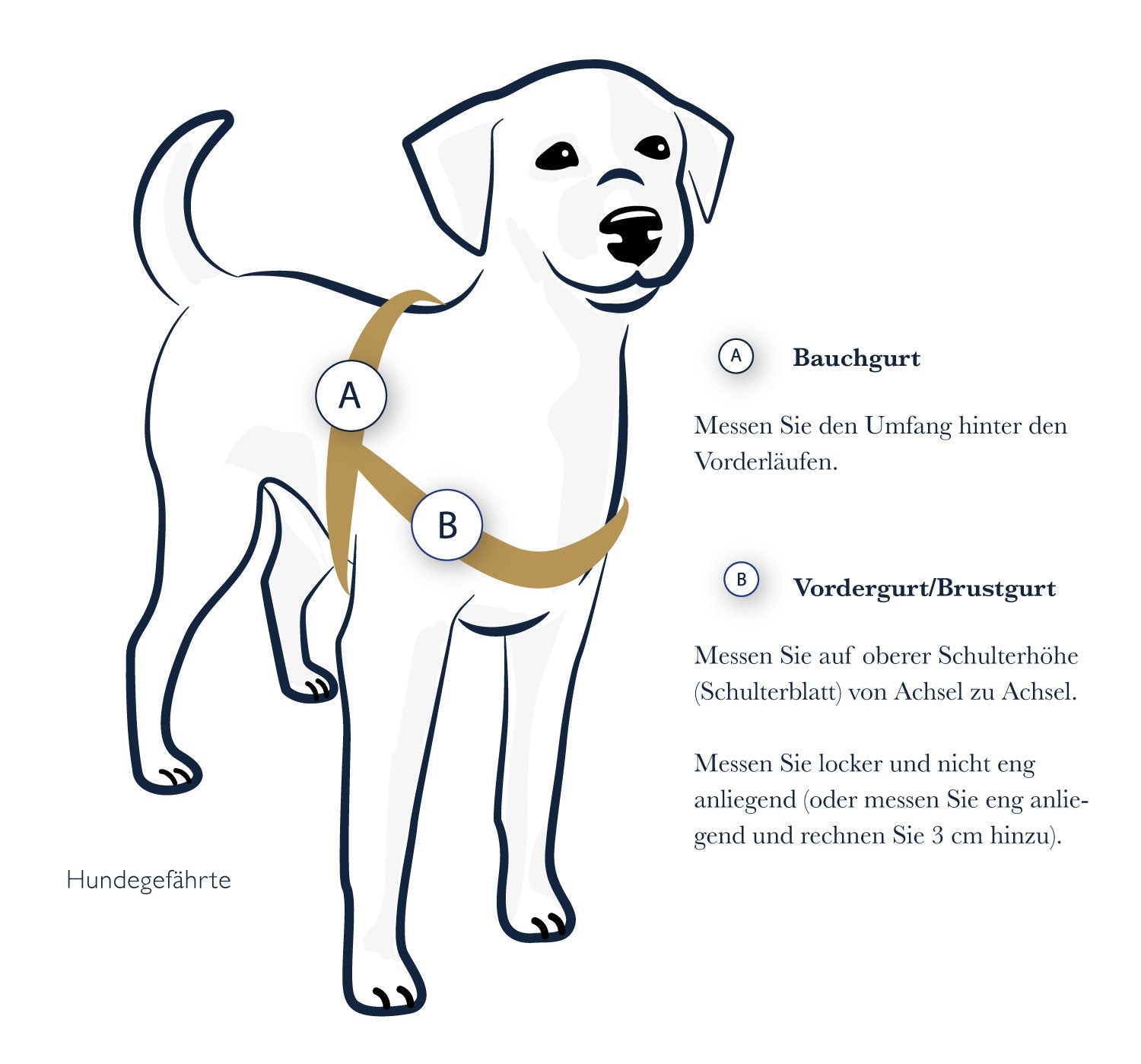 Anti-Stress-Geschirr STURMFREI®, Größe M