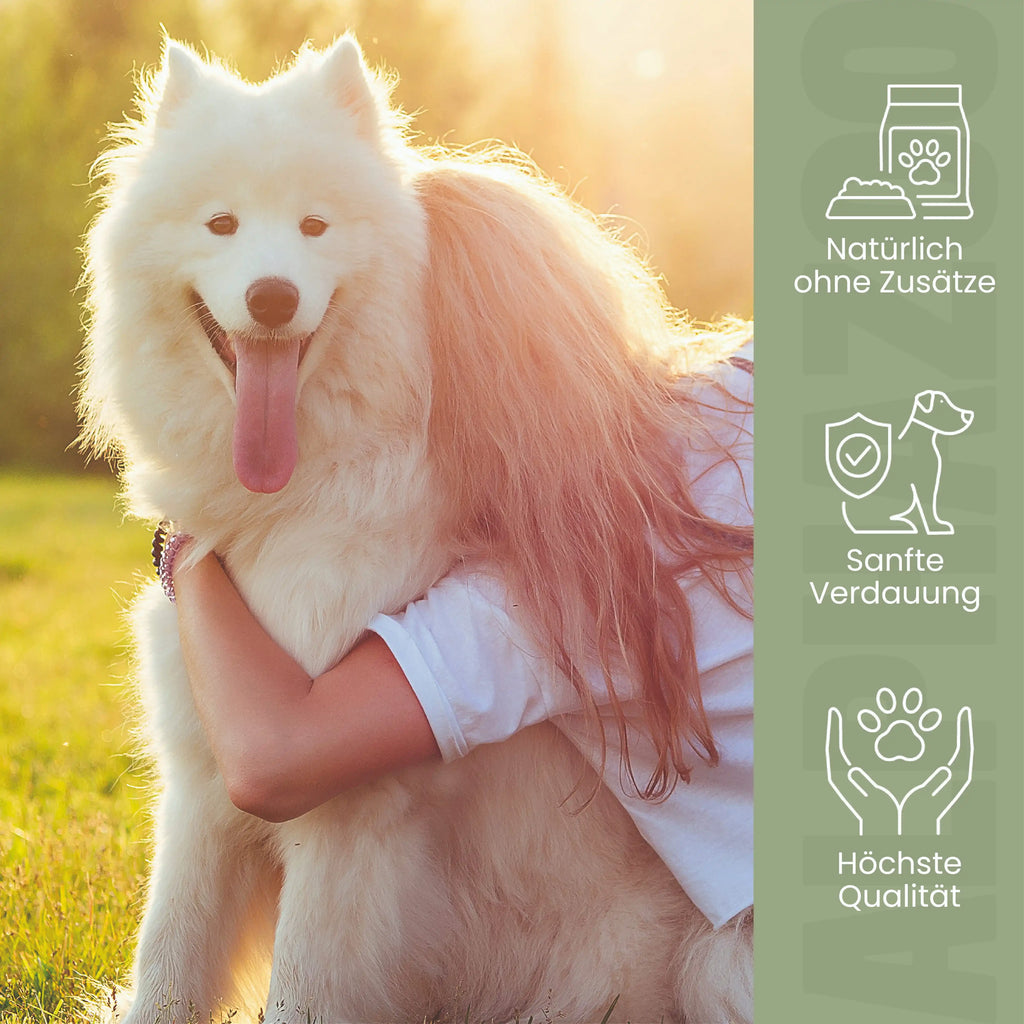 Flohsamenschalen gemahlen für Hunde & Katzen – 99% rein, glutenfrei