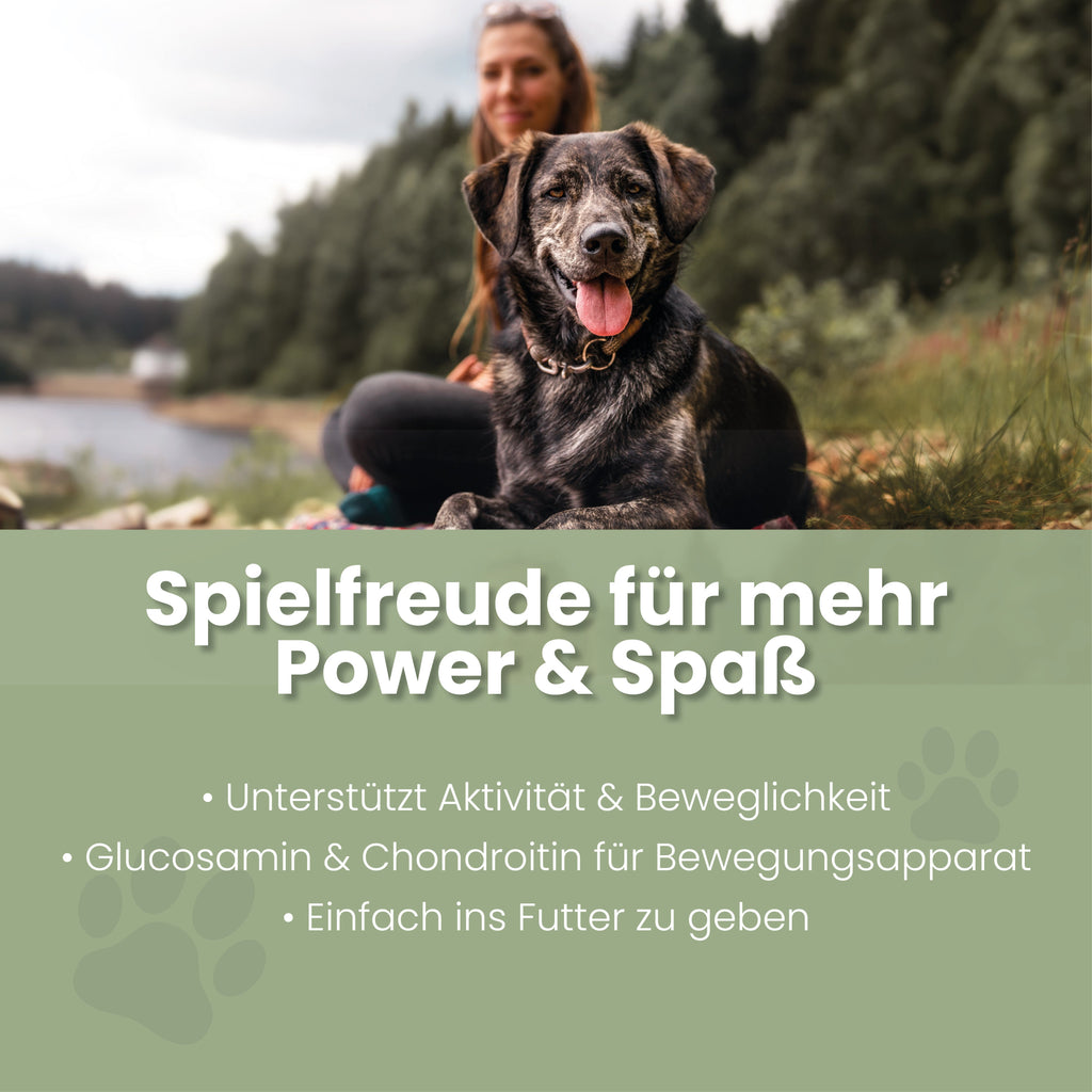 Spielfreude Gelenk-Tabletten für Hunde – mit Glucosamin & Chondroitin