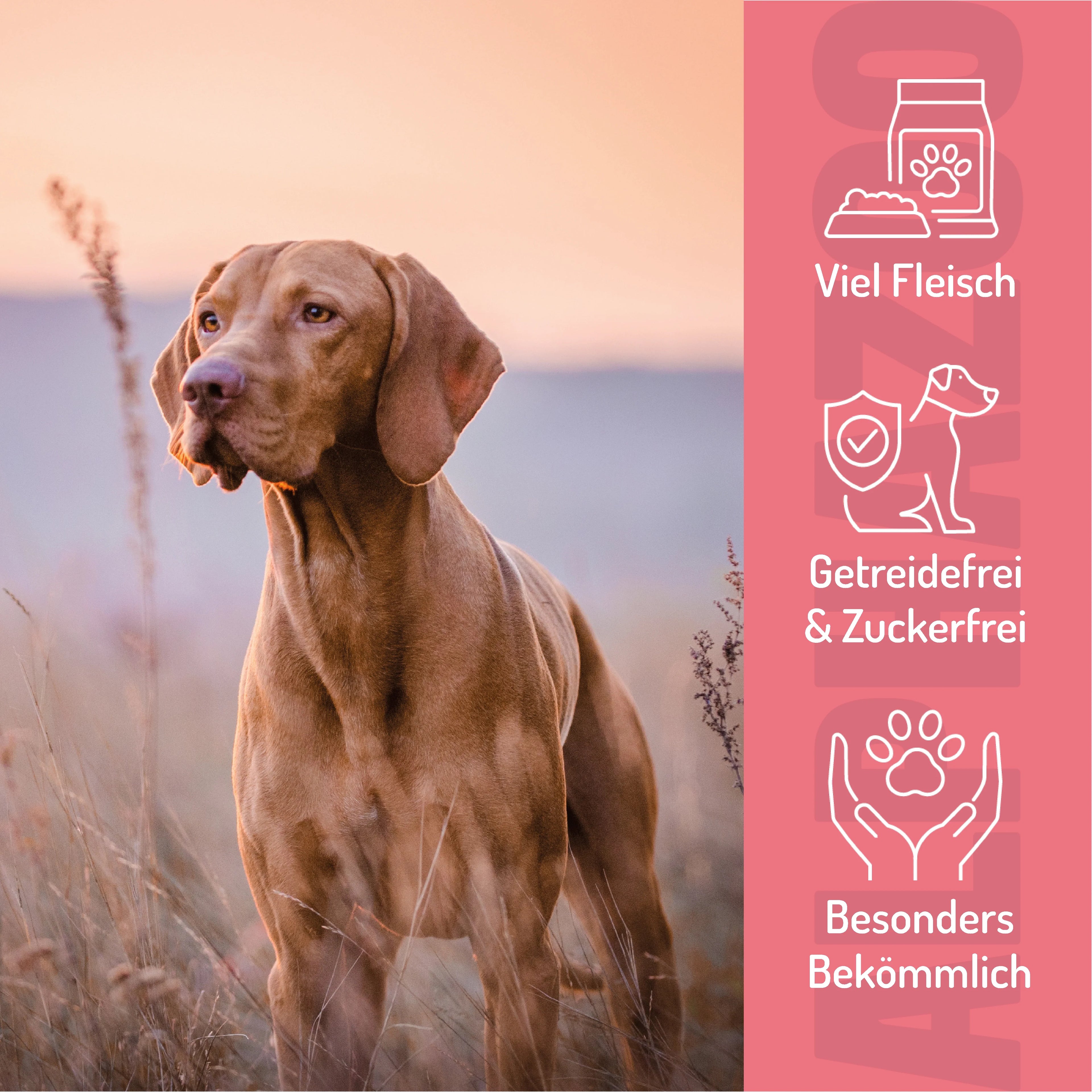 Kleines Rinderz-Vous – Softsnack für Hunde, 90% Rind mit Spinat & Himbeere, getreidefrei