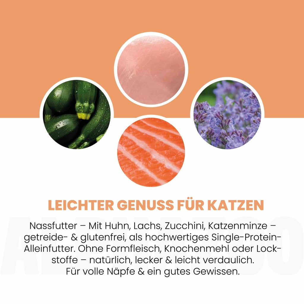 Lachs + Huhn Nassfutter für Katzen – 65% Fleisch, mit Lachsöl, Zucchini & Katzenminze