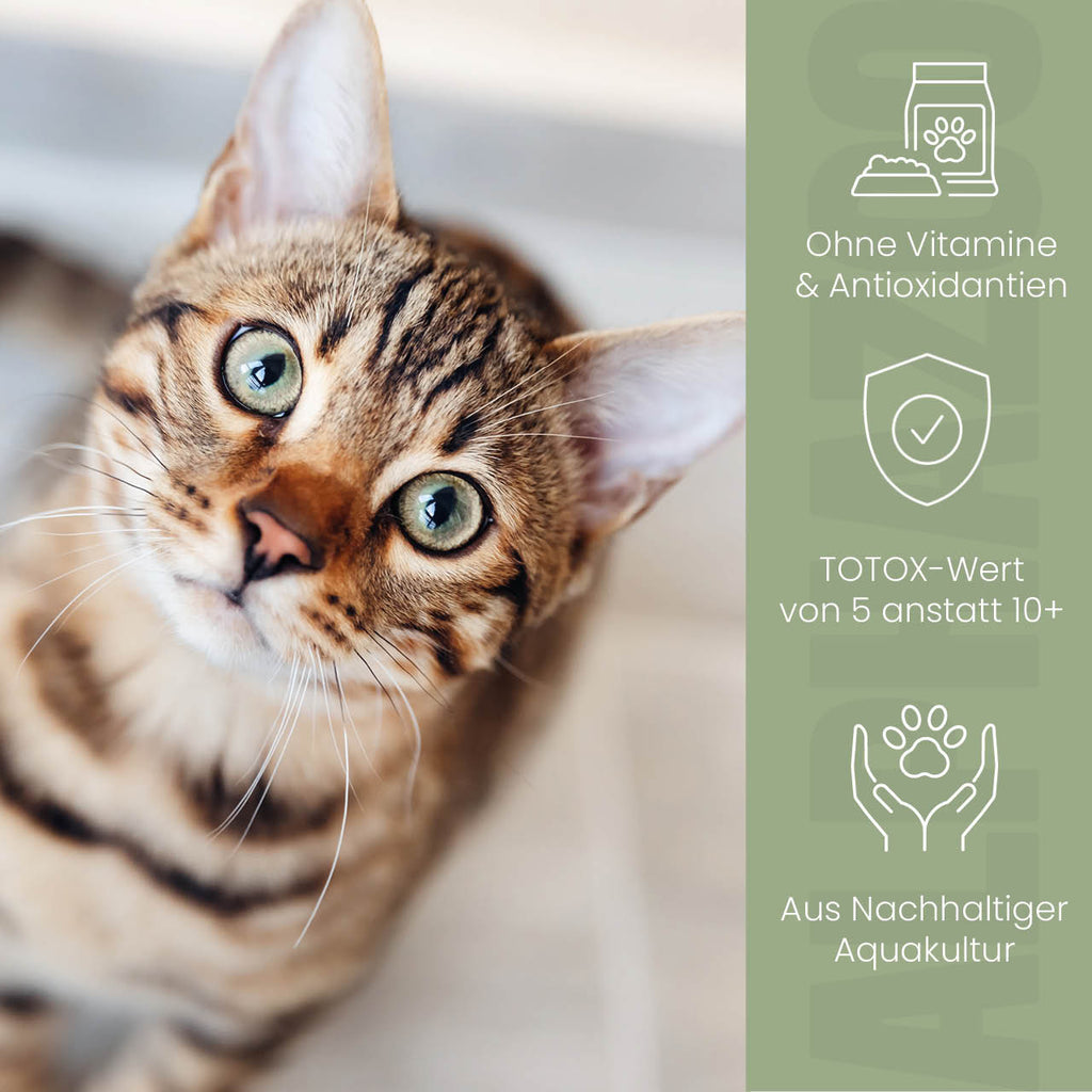 Lachsöl für Katzen – EPA & DHA aus norwegischem Lachs, 100ml & 250ml
