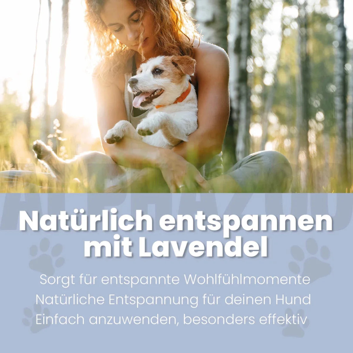 Lavellness Fellspray für Hunde – mit Lavendel, Sheabutter & Panthenol, silikonfrei