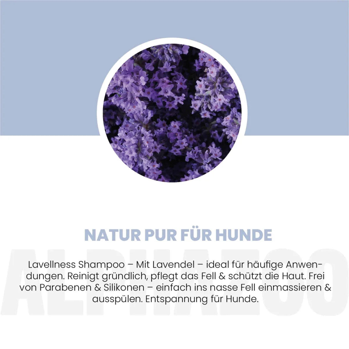 Lavellness Shampoo für Hunde – mit Kokosextrakt & Lavendelöl, silikonfrei