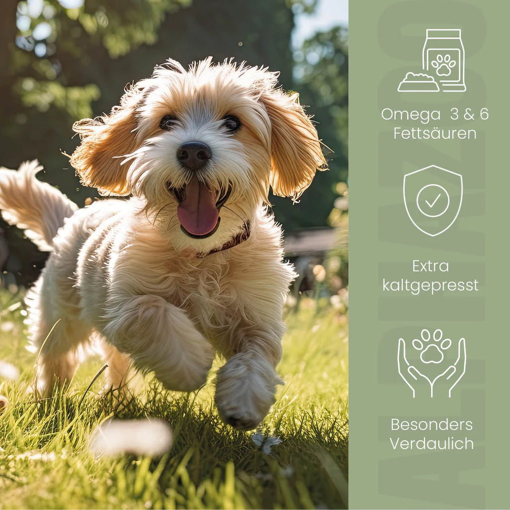 Leinöl für Hunde – kaltgepresst, 56% Omega-3, 100ml & 250ml
