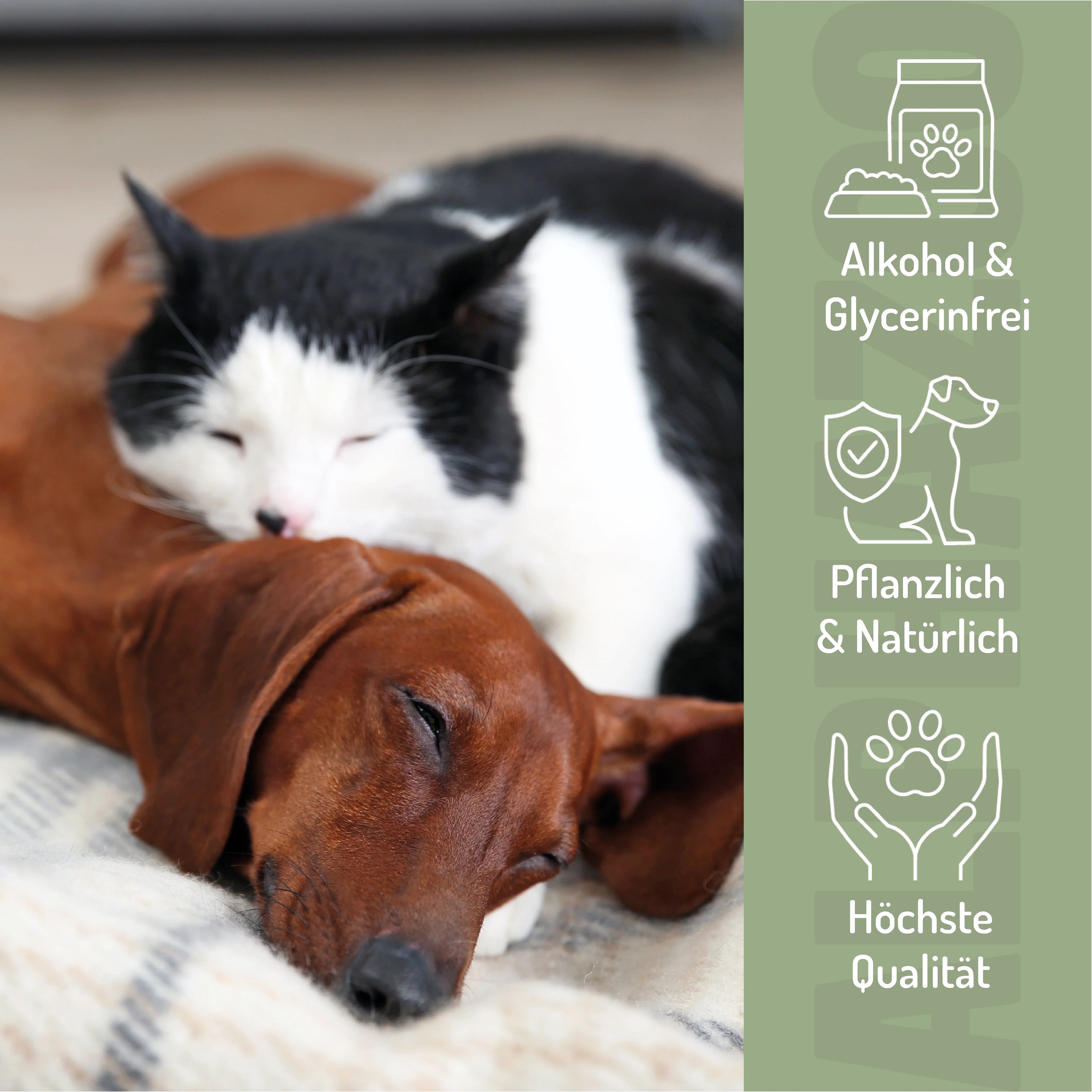 Magenruhe Bachblüten Globuli für Hunde & Katzen – 15g