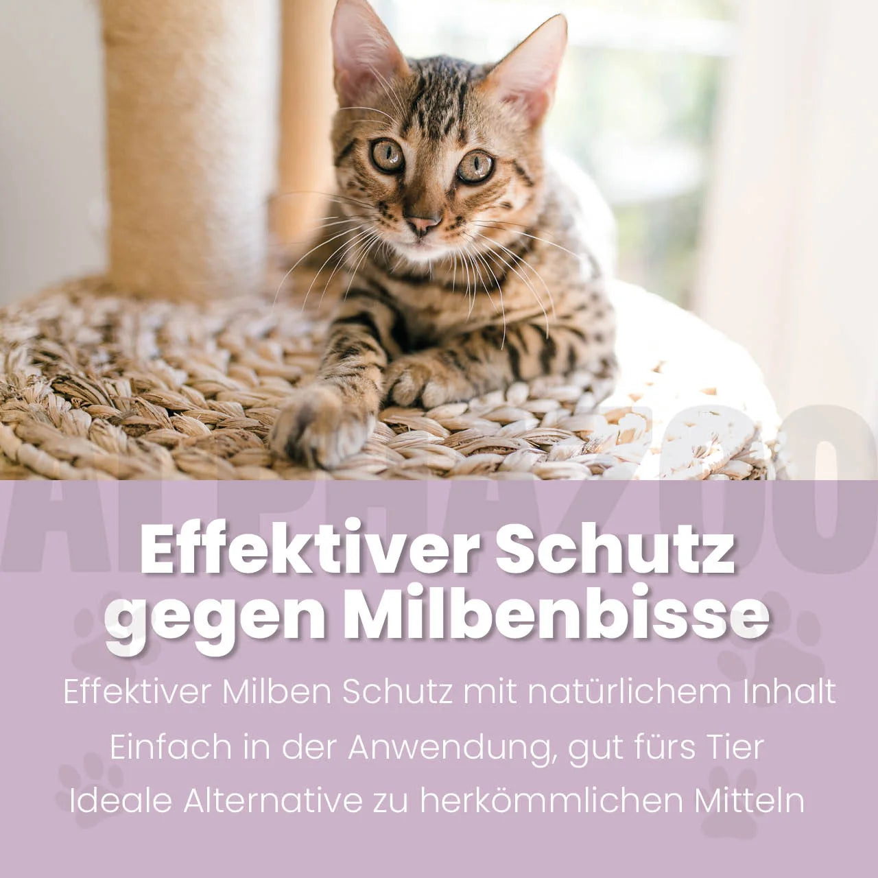 MilbHunter Spot-On für Katzen