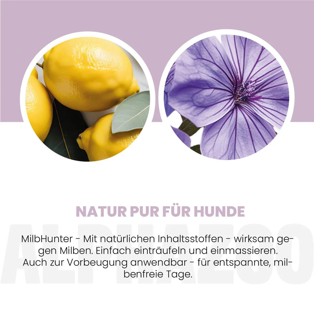 MilbHunter Spot-On für Hunde – pflanzlich mit Geraniol, punktgenau & stressfrei