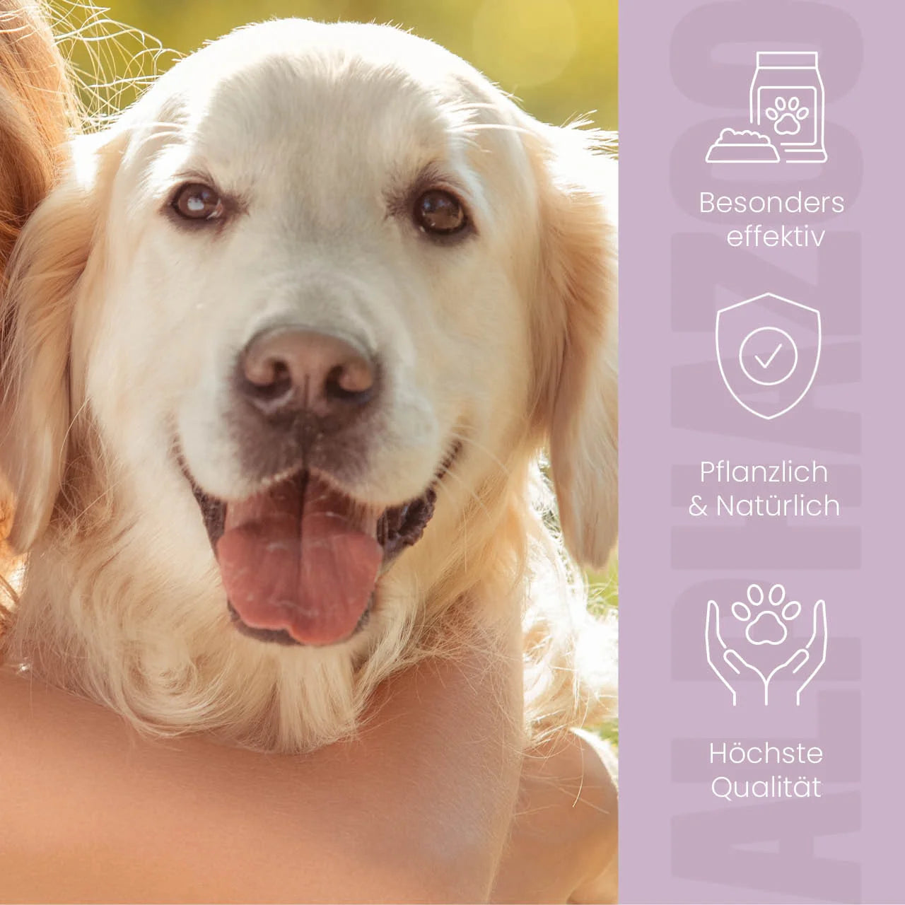 MilbHunter Spot-On für Hunde – pflanzlich mit Geraniol, punktgenau & stressfrei