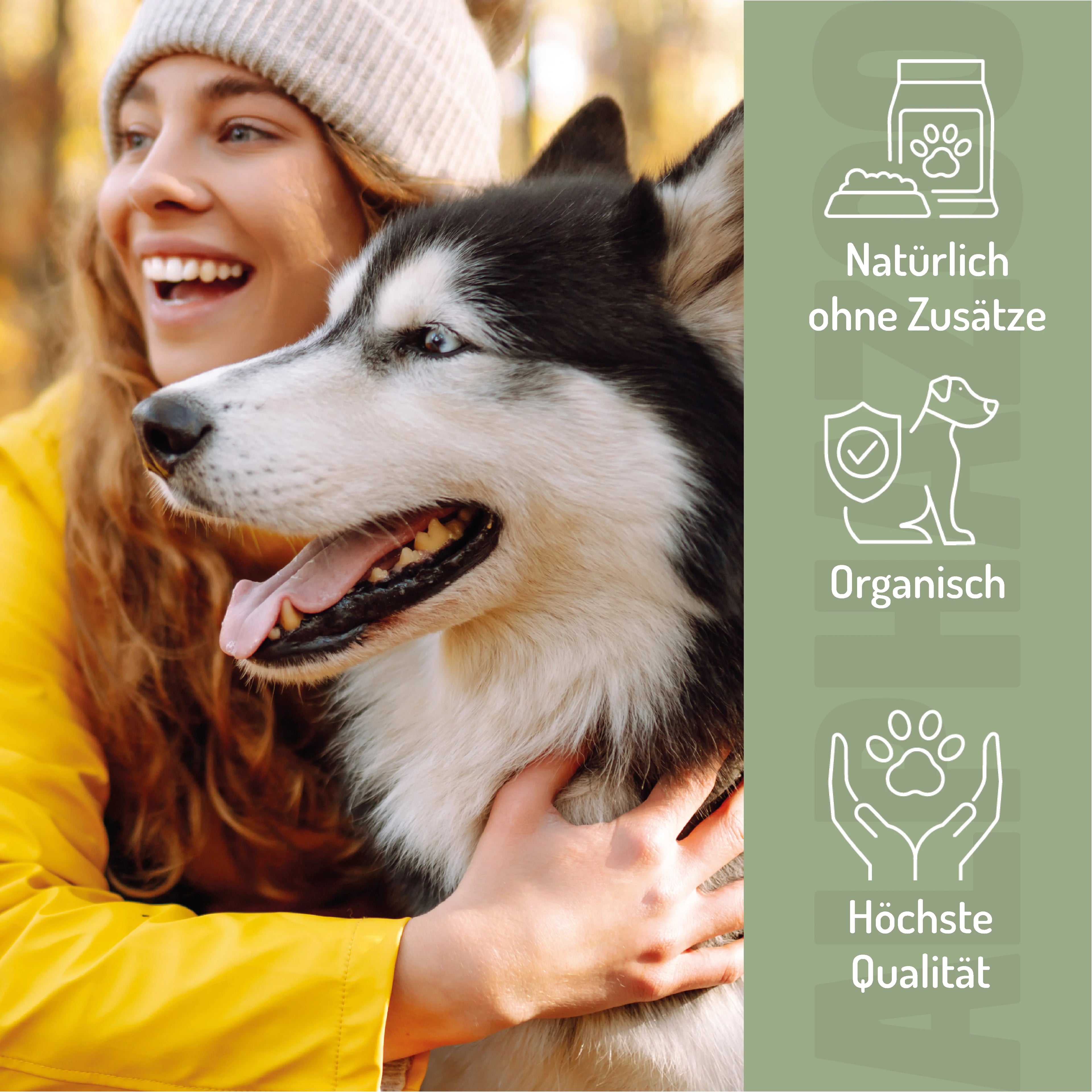 MSM Pulver für Hunde & Katzen – organischer Schwefel für Gelenke & Fell