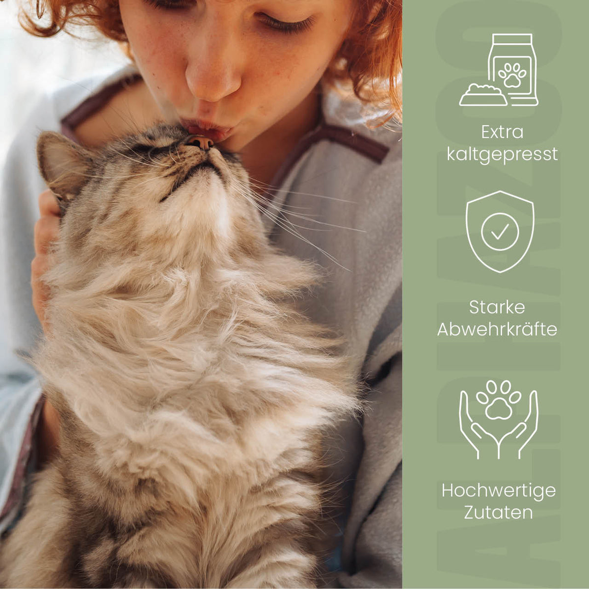 Nachtkerzenöl für Katzen – kaltgepresst & naturbelassen