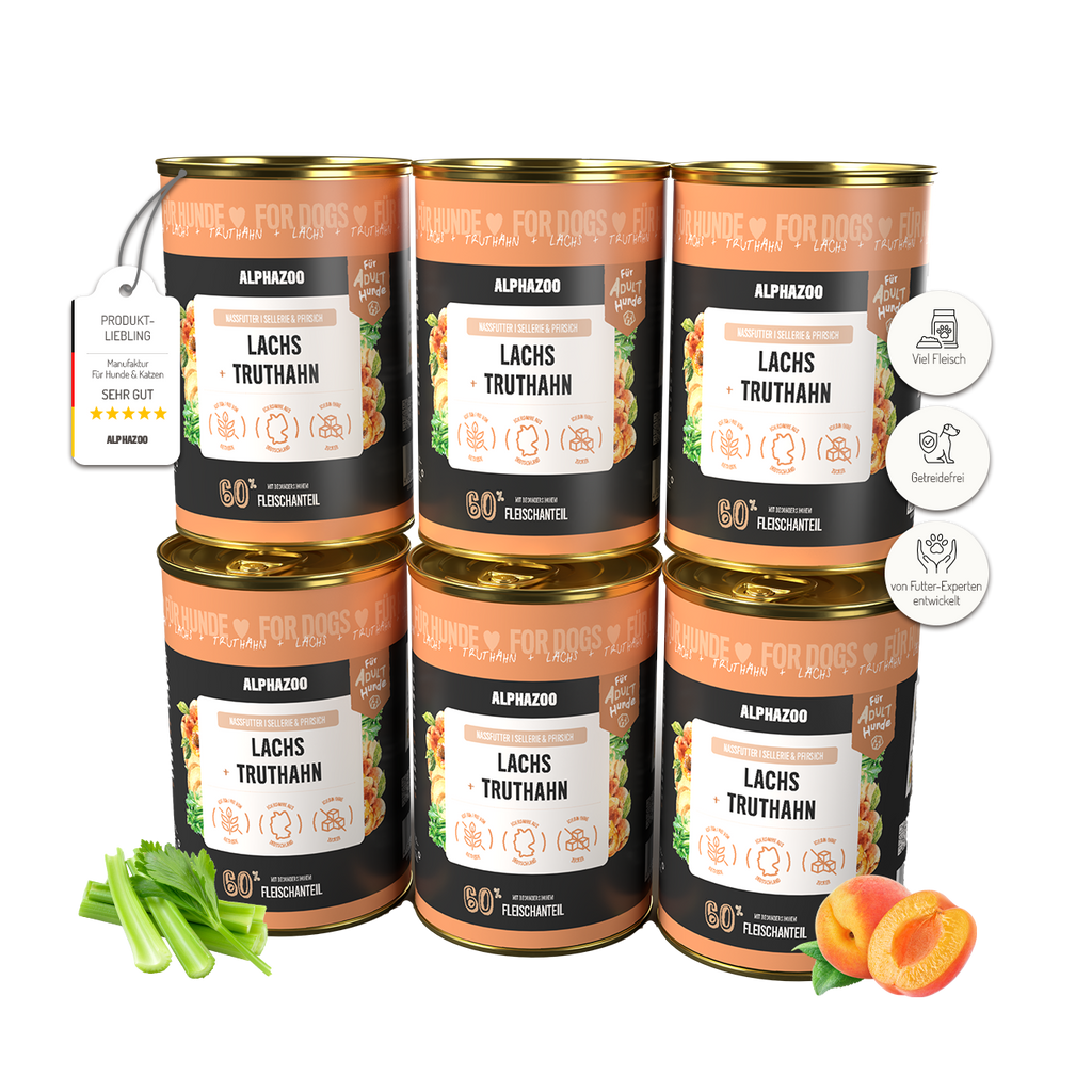 Lachs + Truthahn Nassfutter für Hunde – 60% Fleisch & Fisch, mit Omega-3, Pfirsich & Hanföl