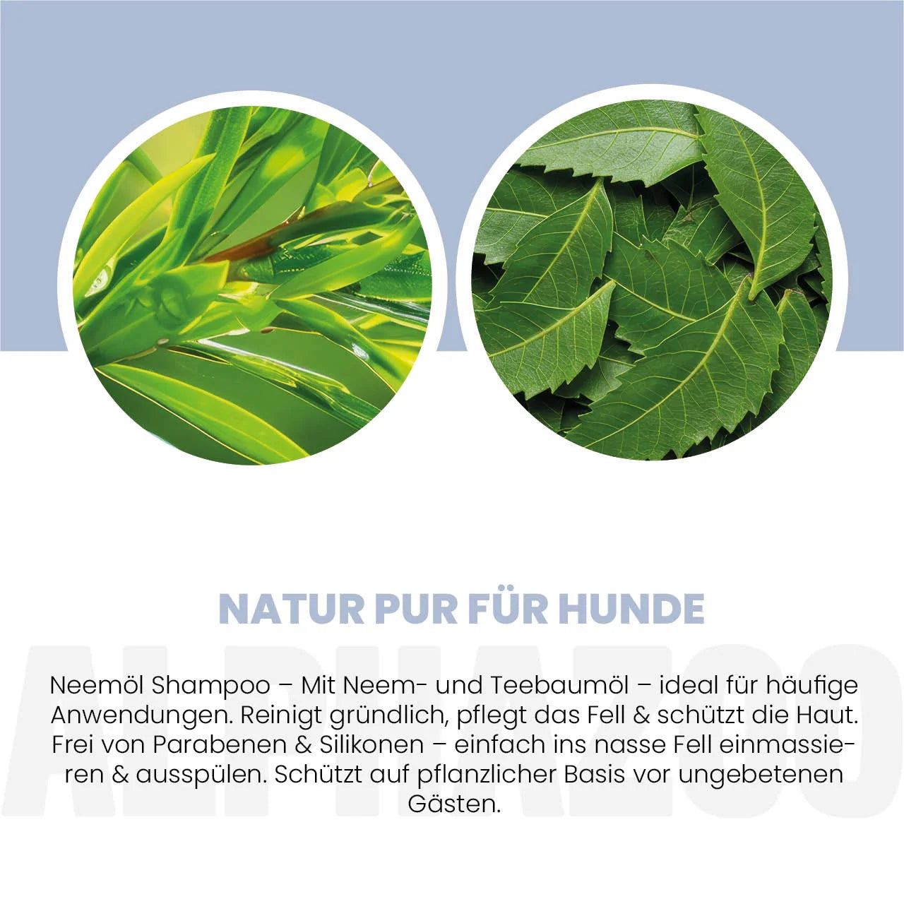 Neemöl Shampoo für Hunde – mit Neemöl & Teebaumöl, silikonfrei & parabenfrei