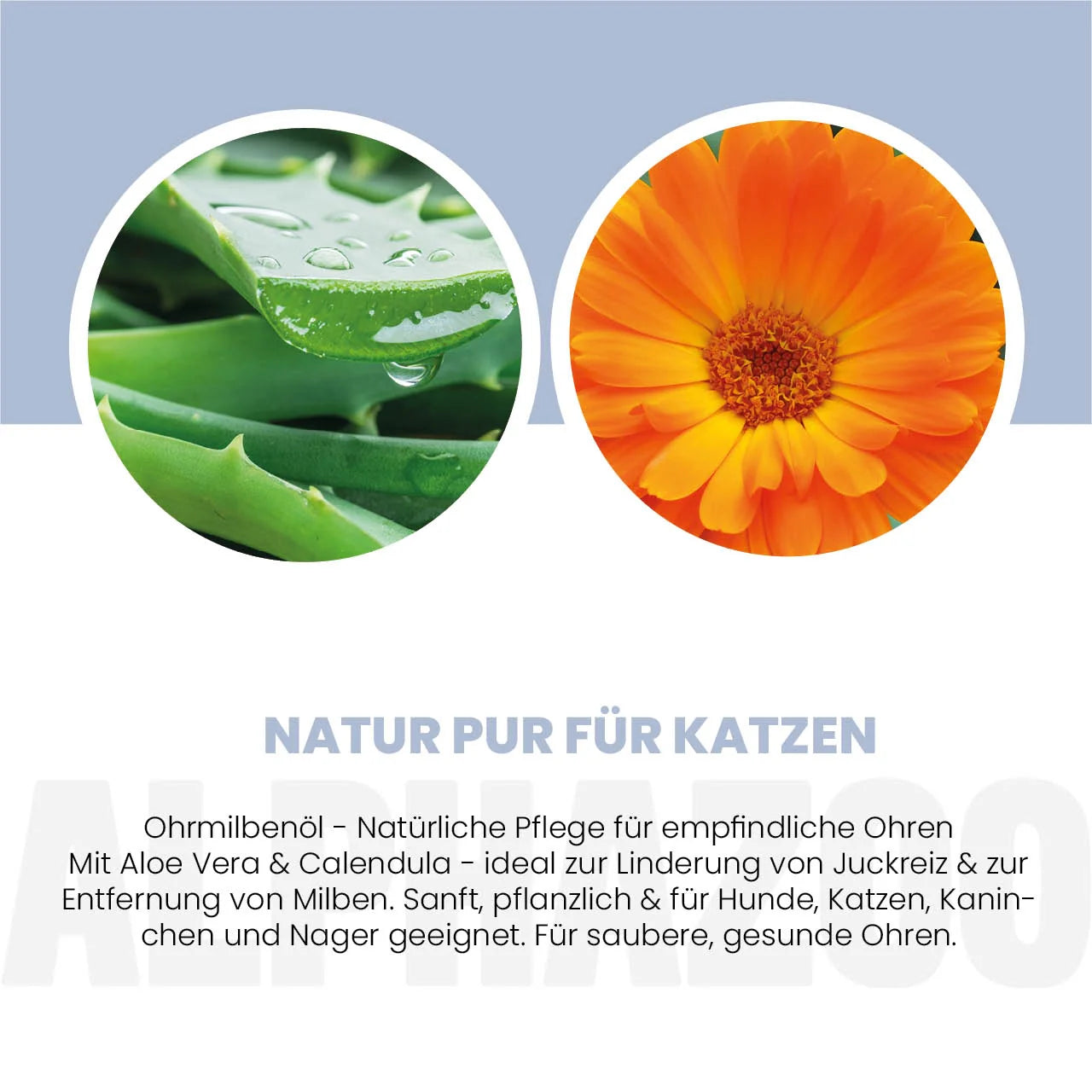 Ohrmilbenöl für Katzen – mit Calendula & Aloe Vera, sanft & pflegend