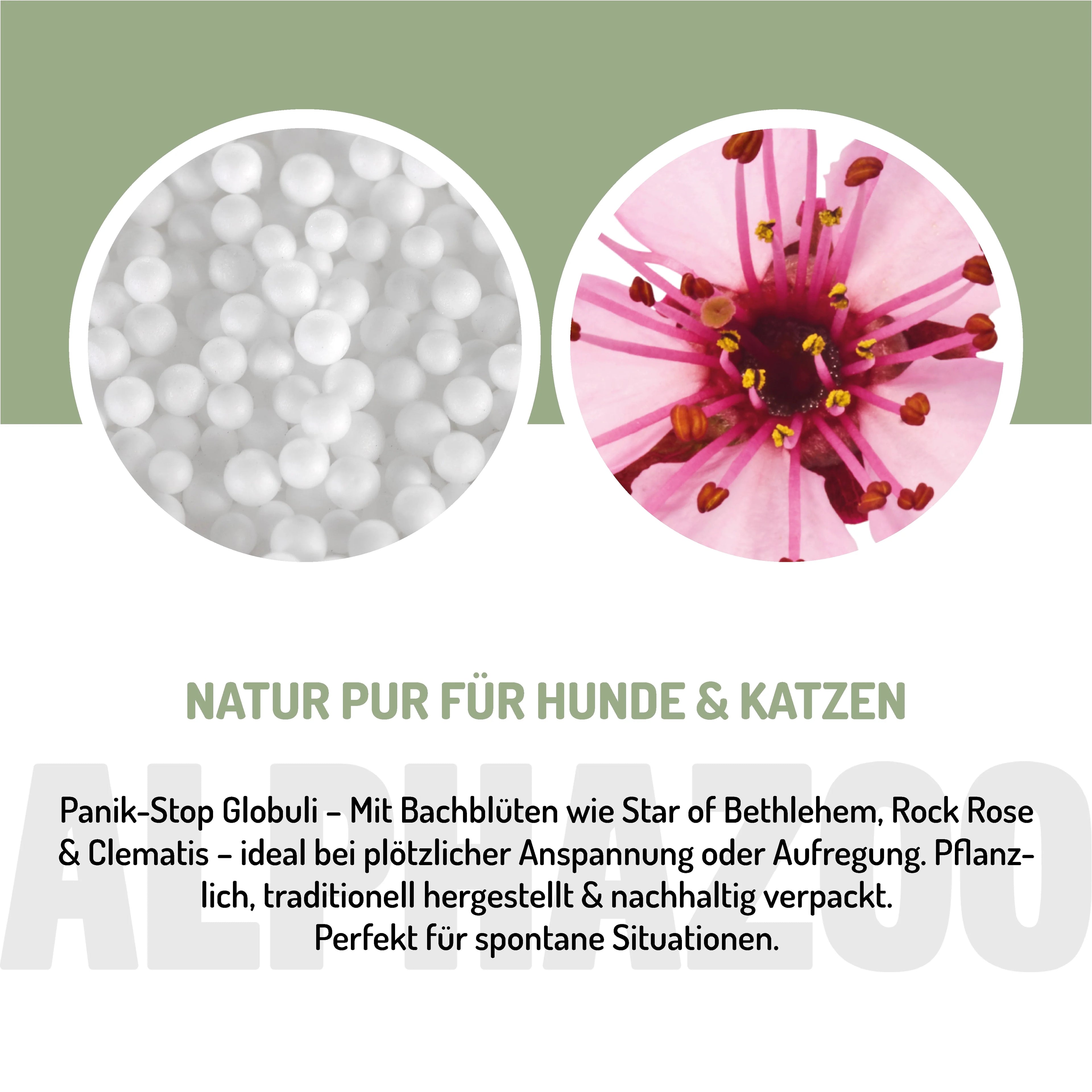 Panik Stop Bachblüten Globuli für Hunde & Katzen – 15g