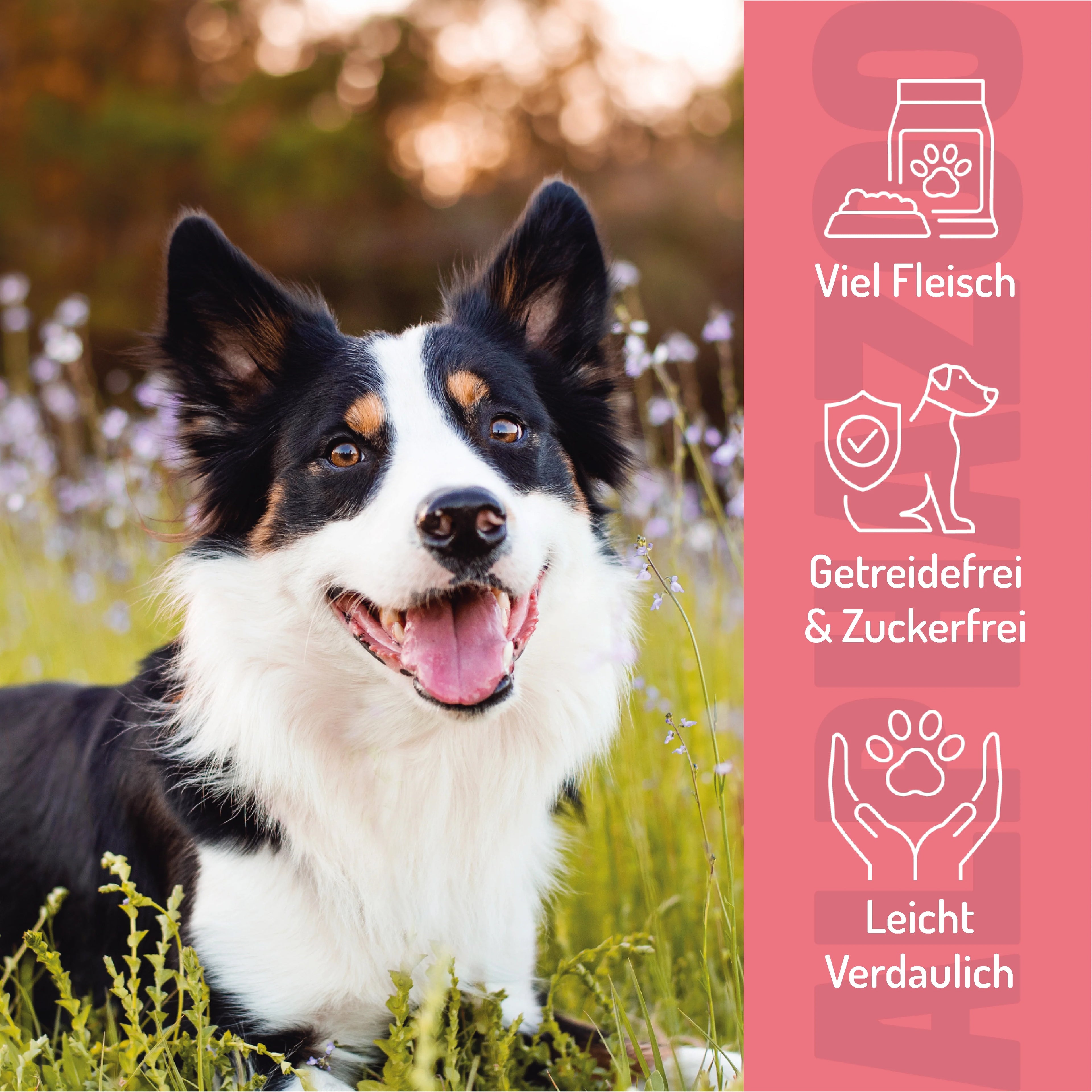 Wir wollen Meer Chicks – Softsnack für Hunde, Huhn & Lachs, getreidefrei
