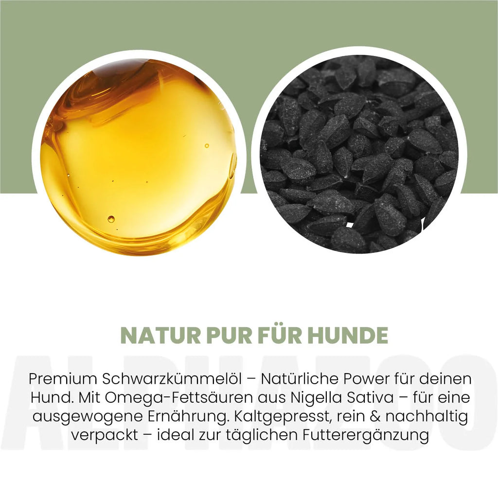 Schwarzkümmelöl für Hunde – kaltgepresst, pur & ohne Zusätze | alphazoo