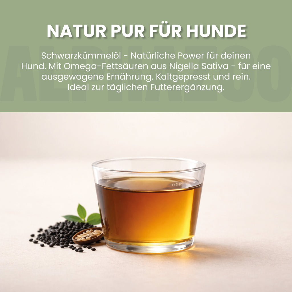 Schwarzkümmelöl für Hunde – kaltgepresst, pur & ohne Zusätze | alphazoo