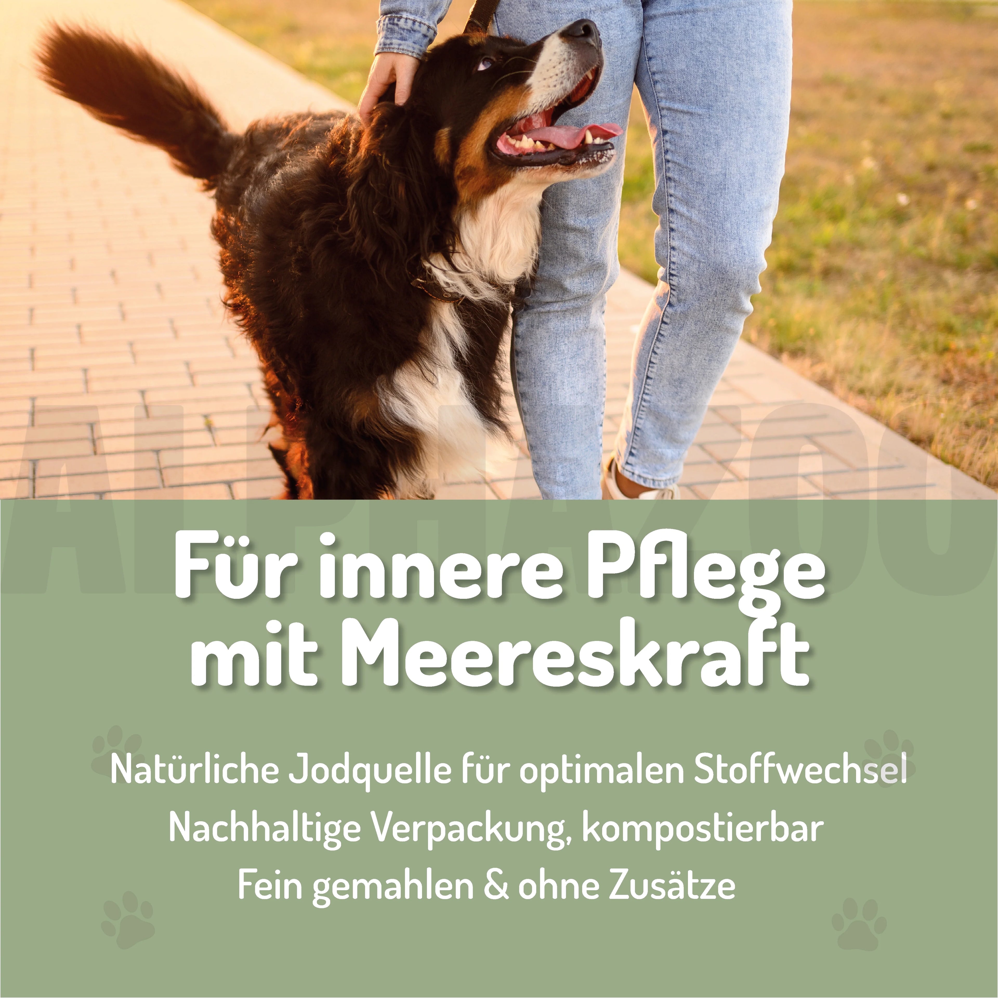 Seealgenmehl für Hunde & Katzen – natürliches Jod für Schilddrüse & Fell
