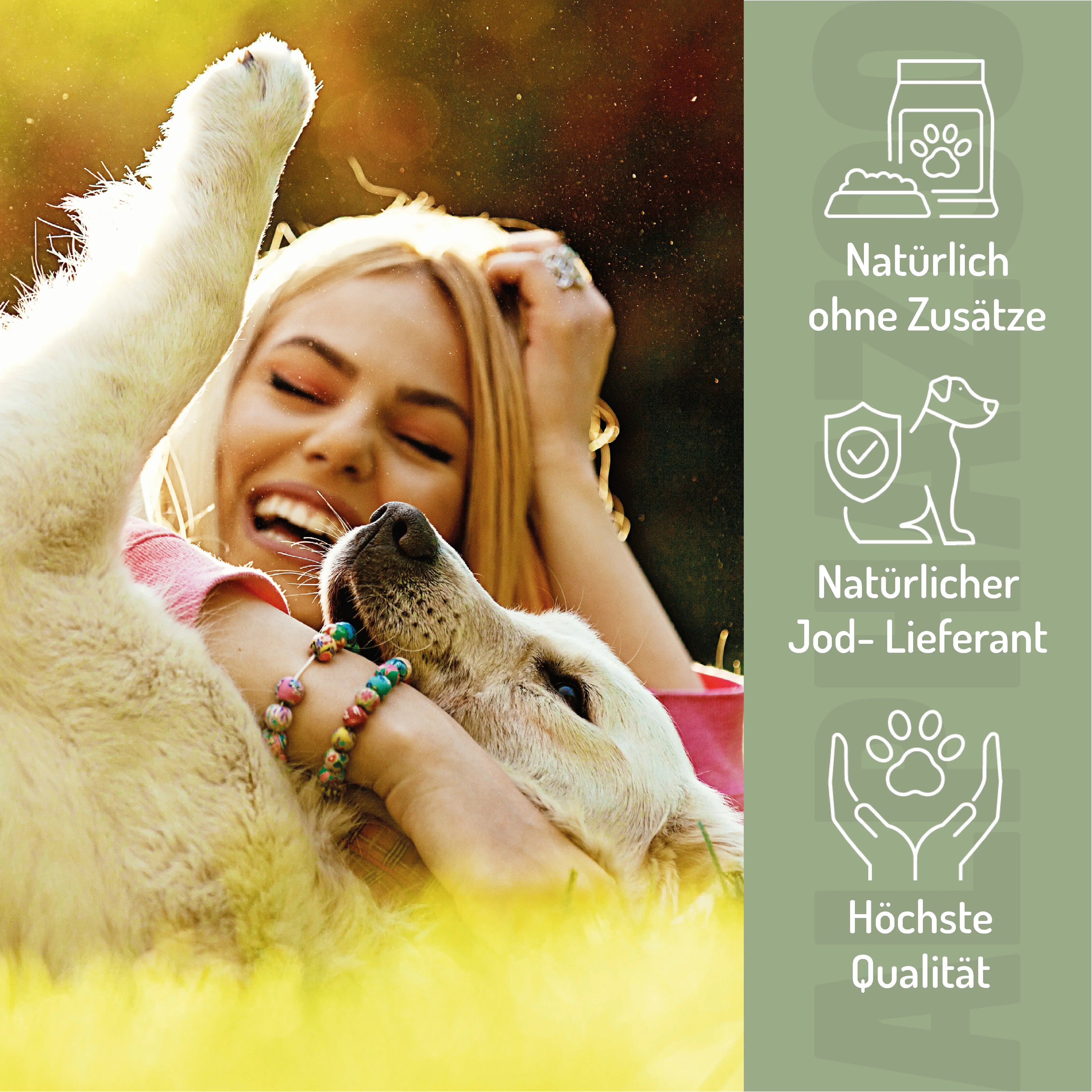 Seealgenmehl für Hunde & Katzen – natürliches Jod für Schilddrüse & Fell