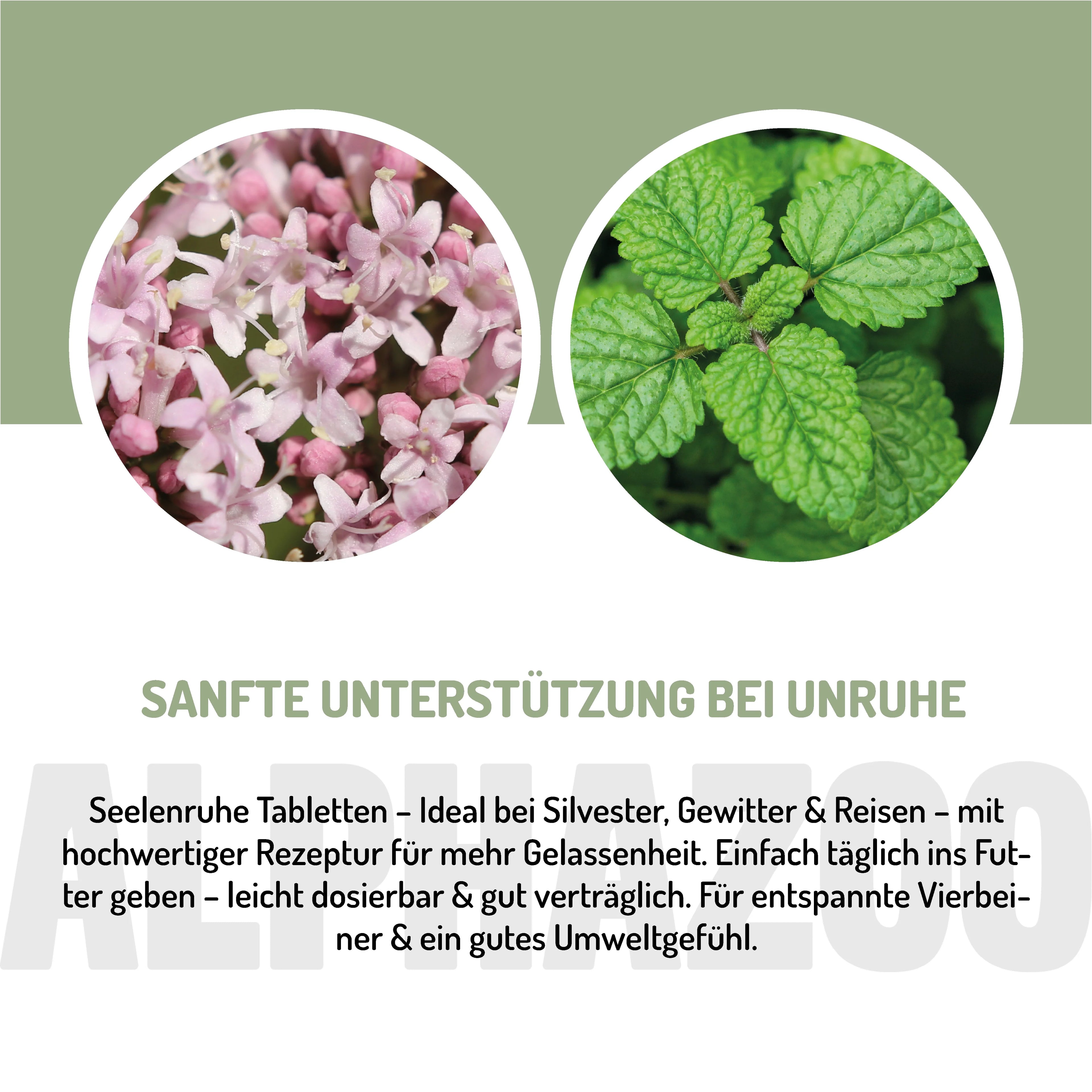 Seelenruhe Beruhigungs-Tabletten für Hunde – mit Baldrian & Melisse