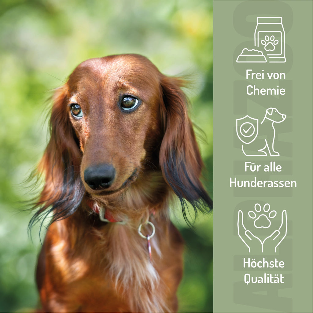 Seelenruhe Beruhigungs-Tabletten für Hunde – mit Baldrian & Melisse