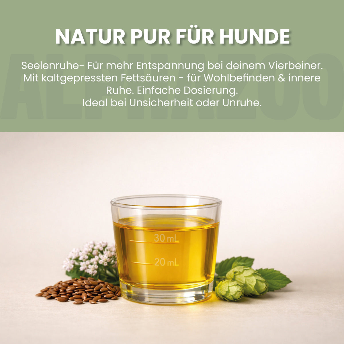 Nachtkerzenöl für Hunde – kaltgepresst & naturbelassen