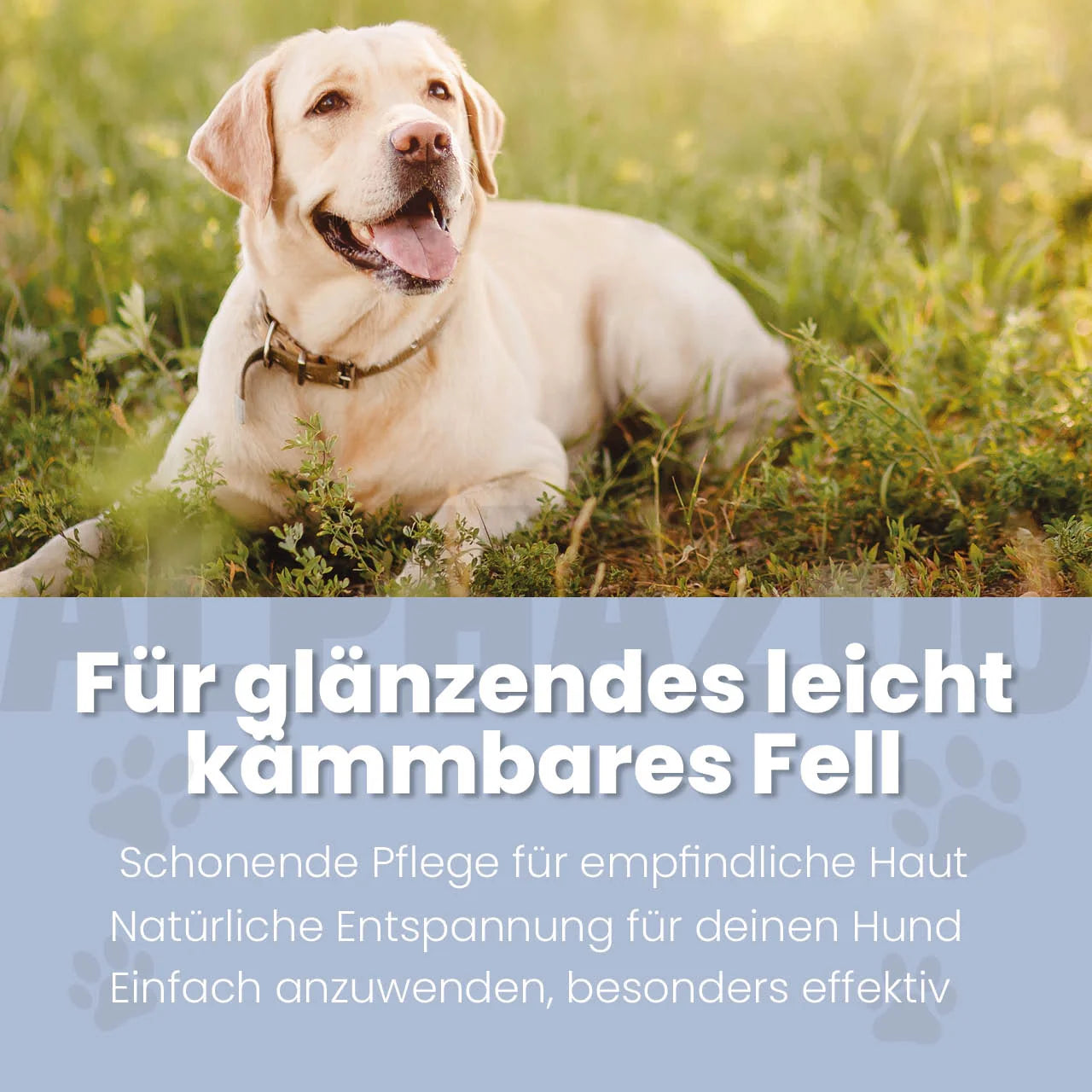 Sensibelchen Fellspray für Hunde – mit Rizinusöl, Sheabutter & Aloe Vera, silikonfrei