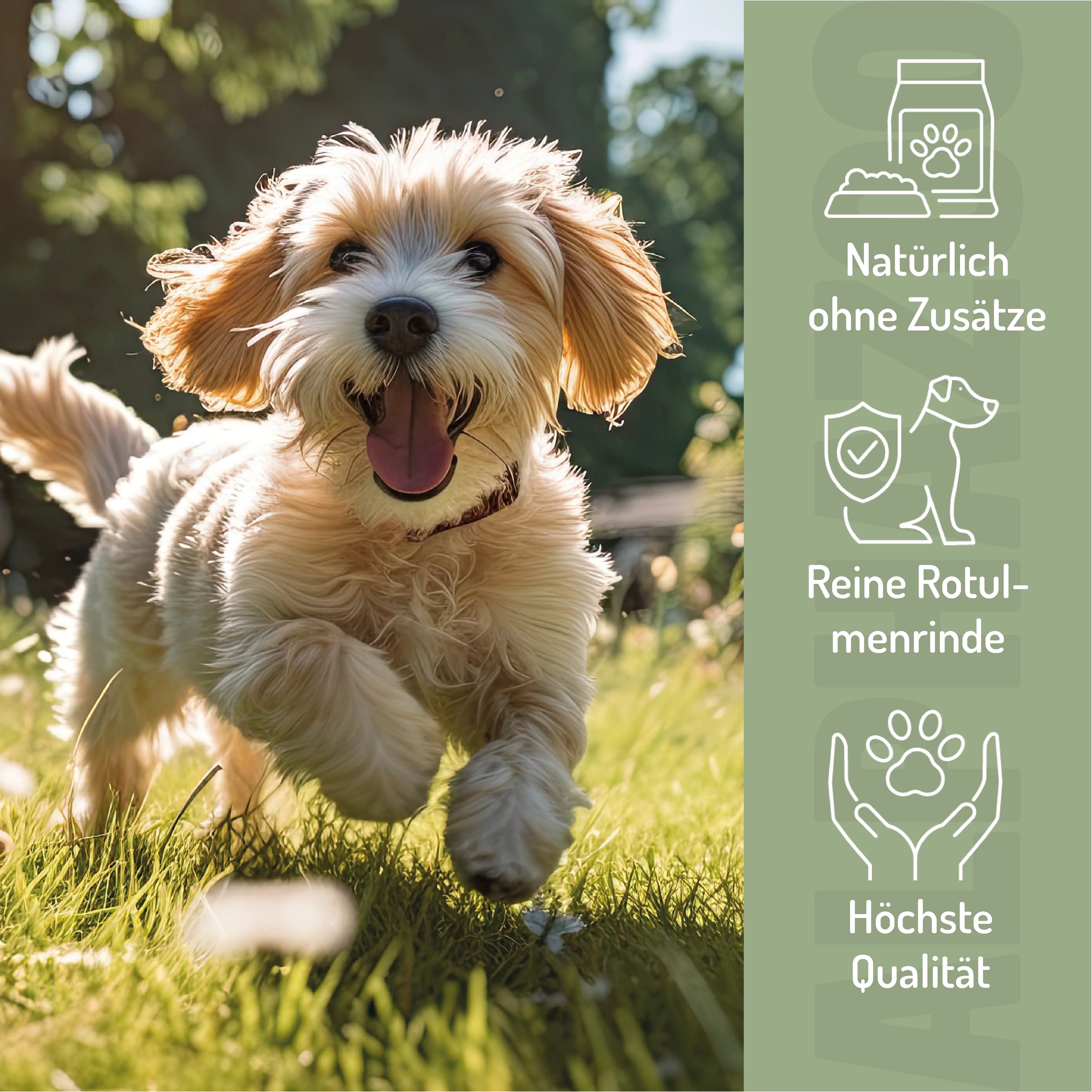 Ulmenrinde Pulver für Hunde & Katzen – sanfte Unterstützung für den Verdauungstrakt