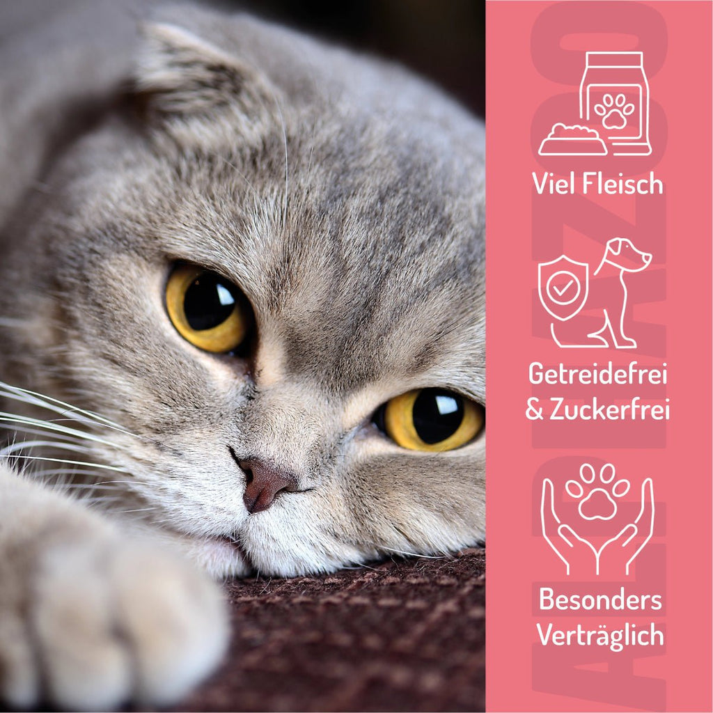 Verlachst Nochmal – Softsnack für Katzen, Lachs & Huhn, getreidefrei