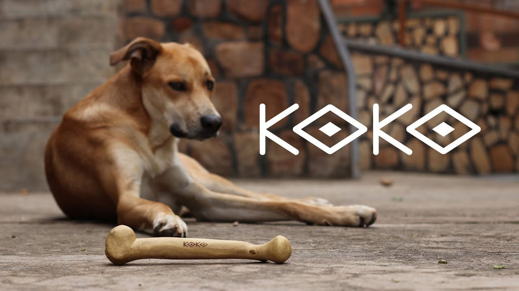 KOKO Coffee Bones L - 24 cm