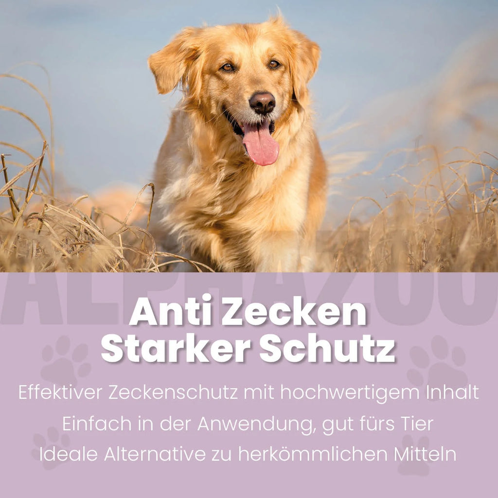 ZeckAttack Spot-On für Hunde – pflanzlich mit Lavendel, Mandel & Zitronen-Eukalyptus