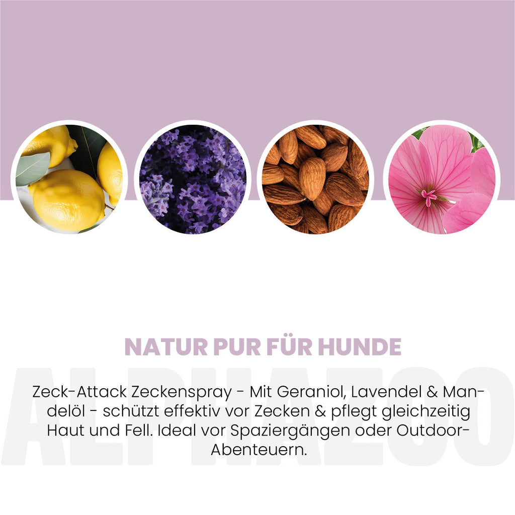 ZeckAttack Zeckenspray für Hunde – pflanzlich mit Geraniol, Lavendel & Eukalyptus